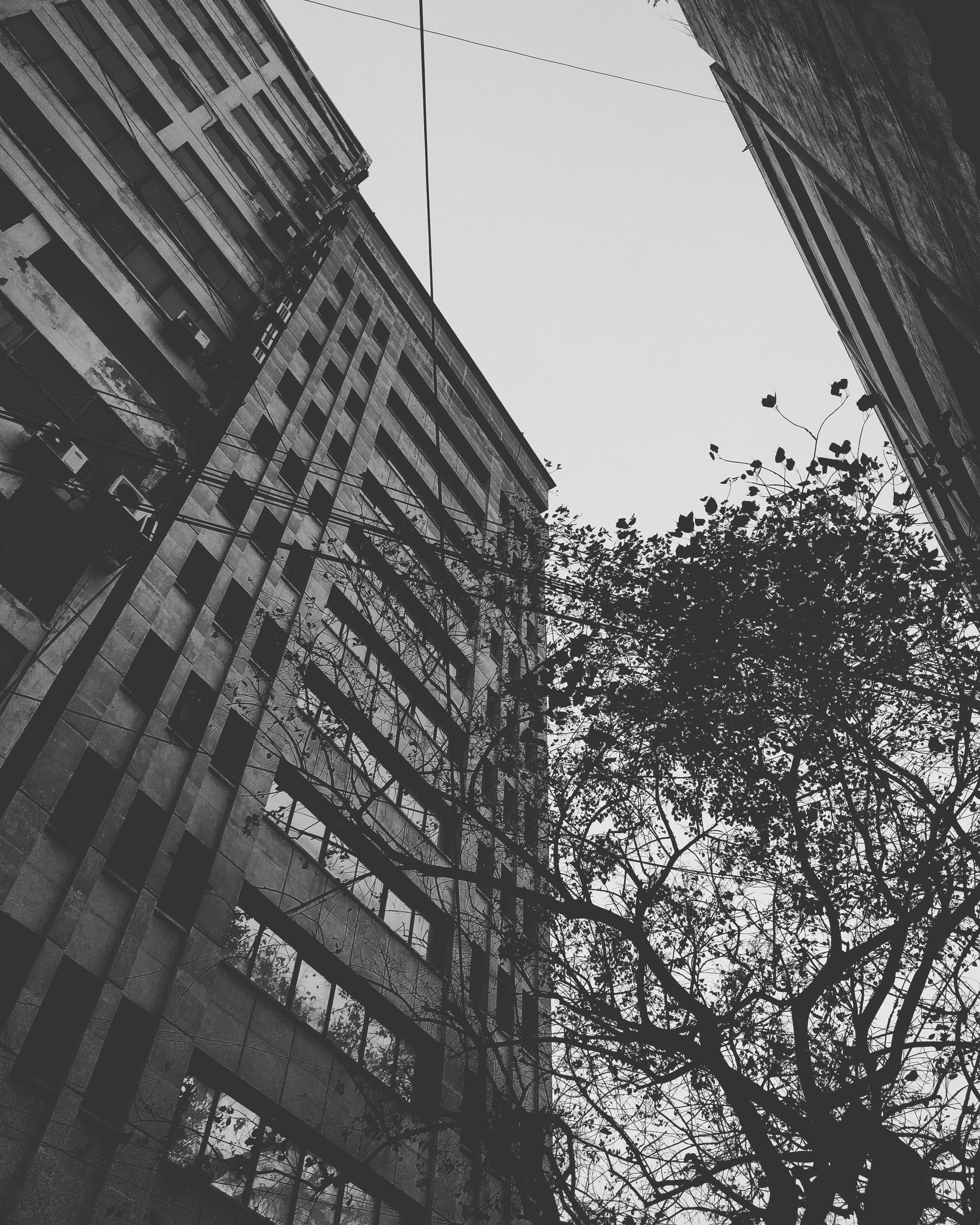 nature, black and white, window, built structure, city, reflection, office building exterior, bangladesh, dhaka, modern, outdoors, growth, building, skyscraper, Phone HD Wallpaper