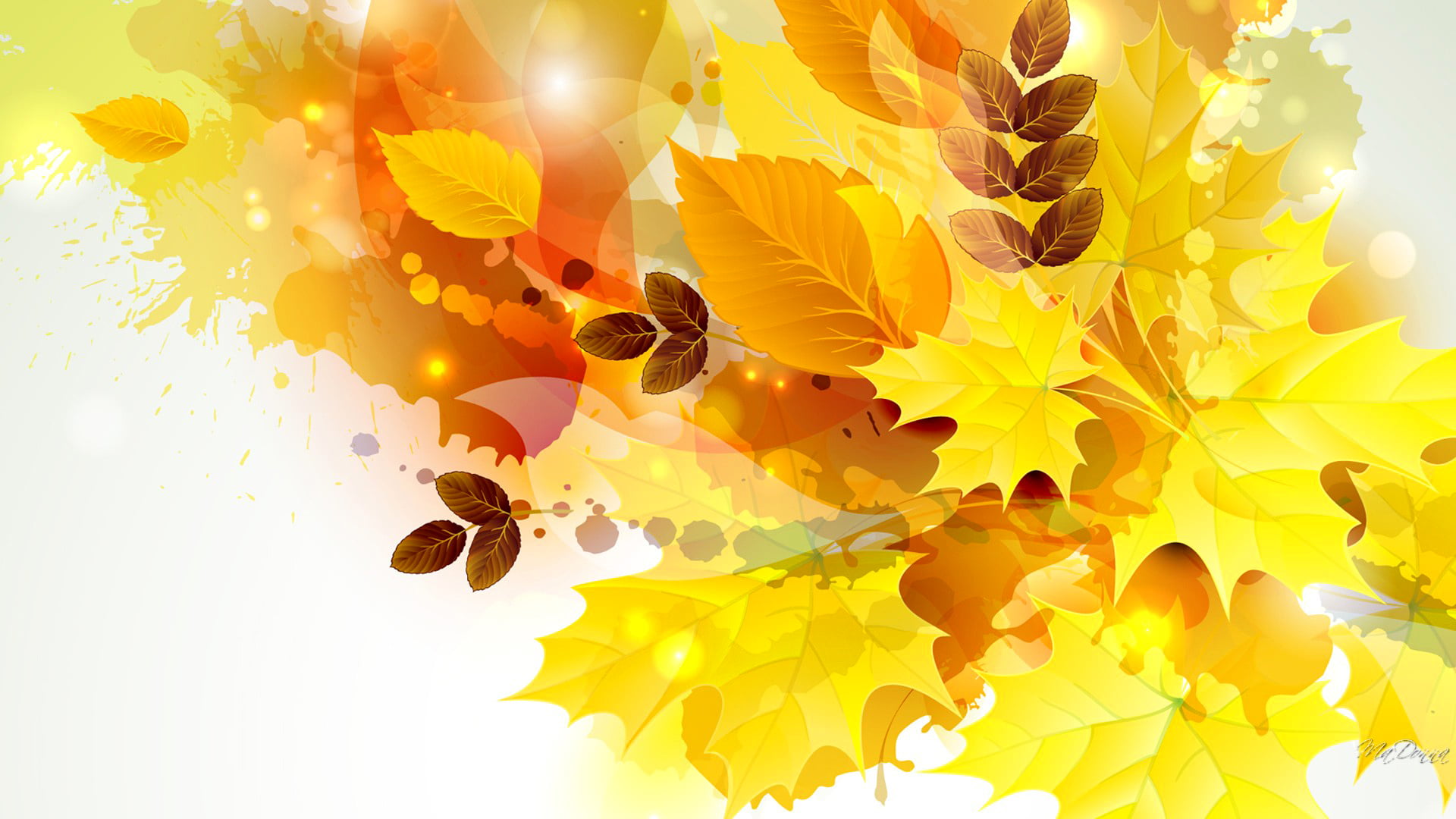 no people, abstract, light - Natural Phenomenon, drop, freshness, pattern, season, food and drink, maple Tree, october, 1080P, space, forest, computer Graphic, HD Wallpaper