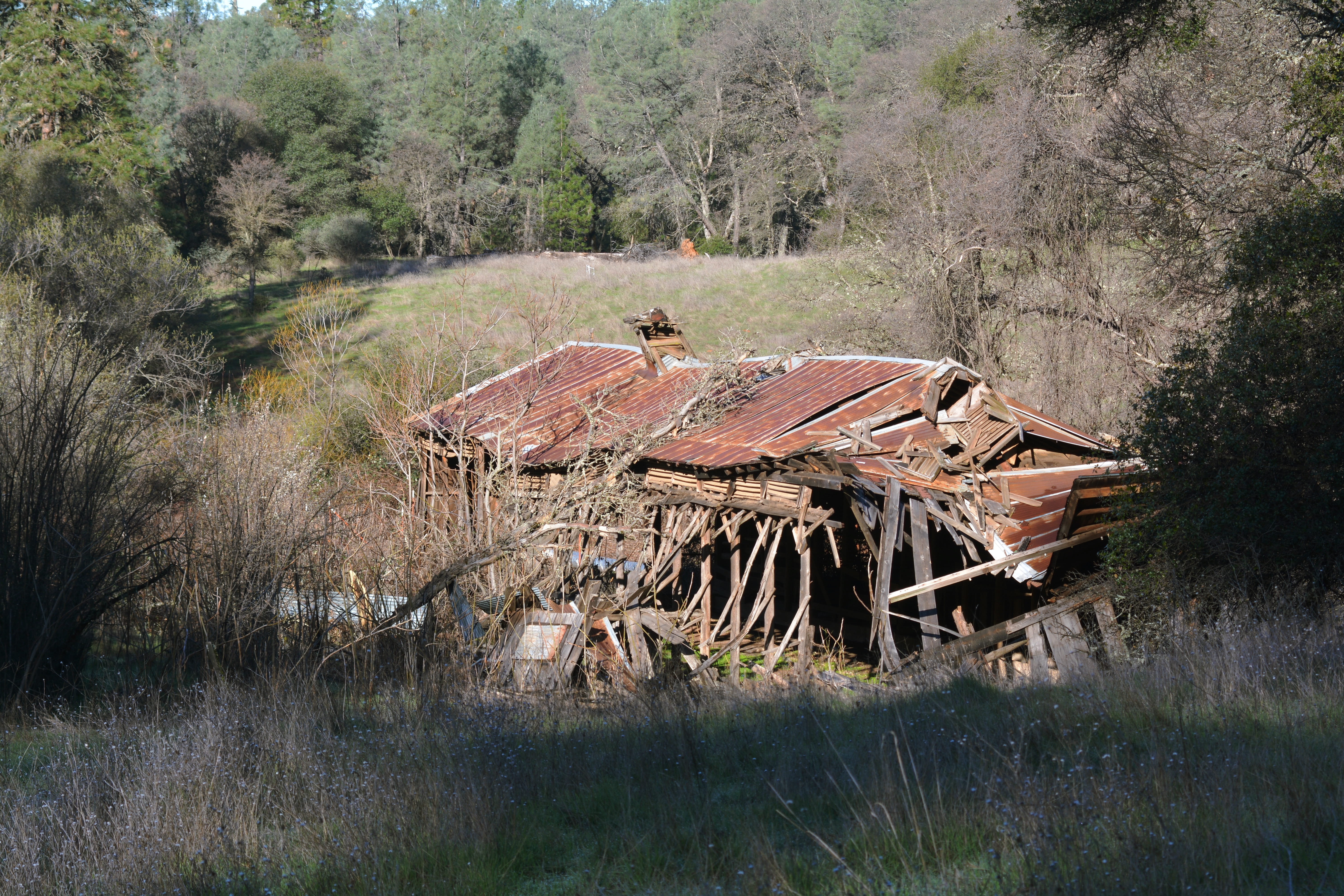 day, worn, falling, no people, outdoors, tree, forest, old, 5K, field, deterioration, plant, barnyard, ruined, run-down, obsolete, structure, united states, HD Wallpaper