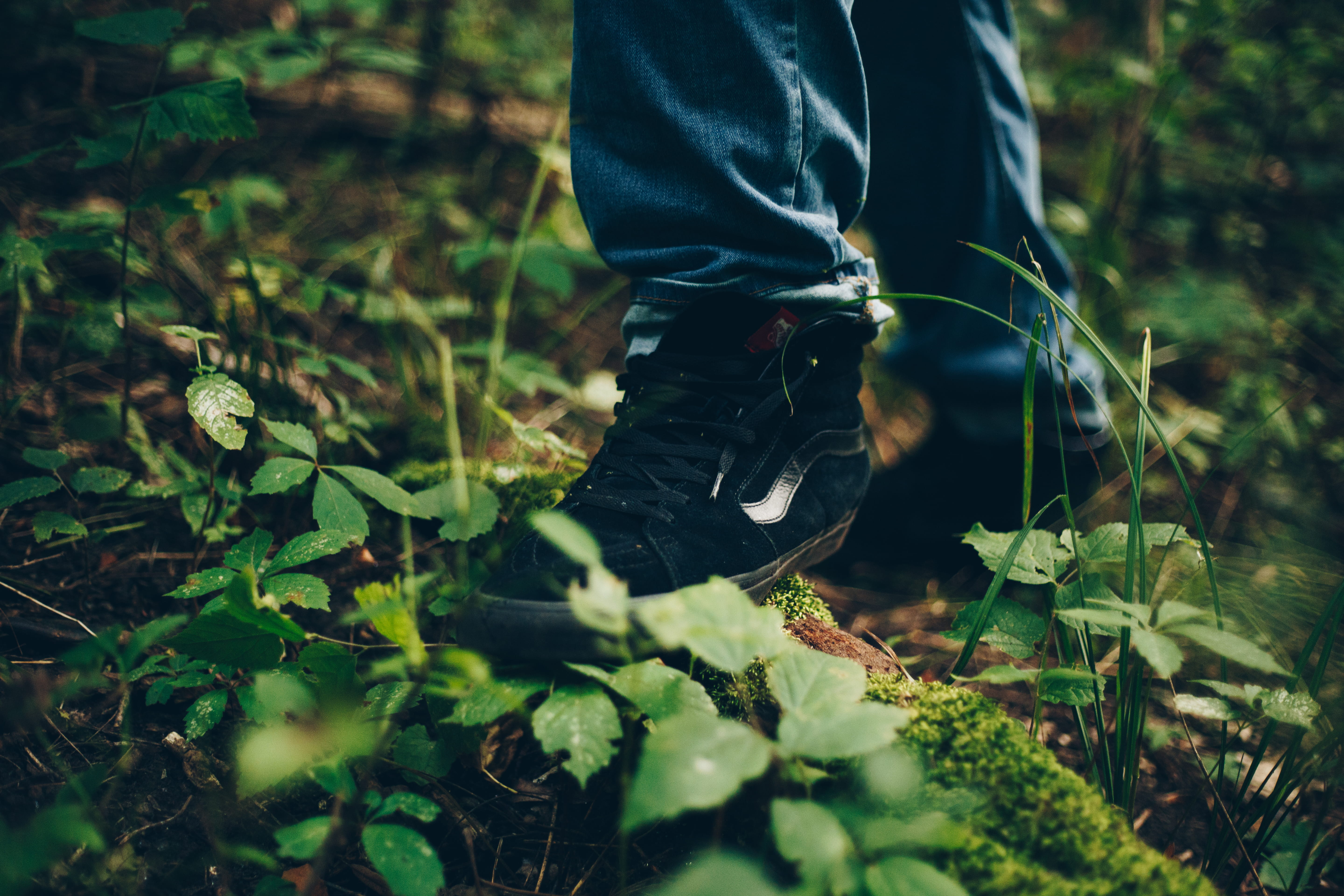 real people, land, standing, outdoors, mountaints, united states, sioux city, forest, trail, 5K, low section, lush, human body part, hiking, human limb, HD Wallpaper