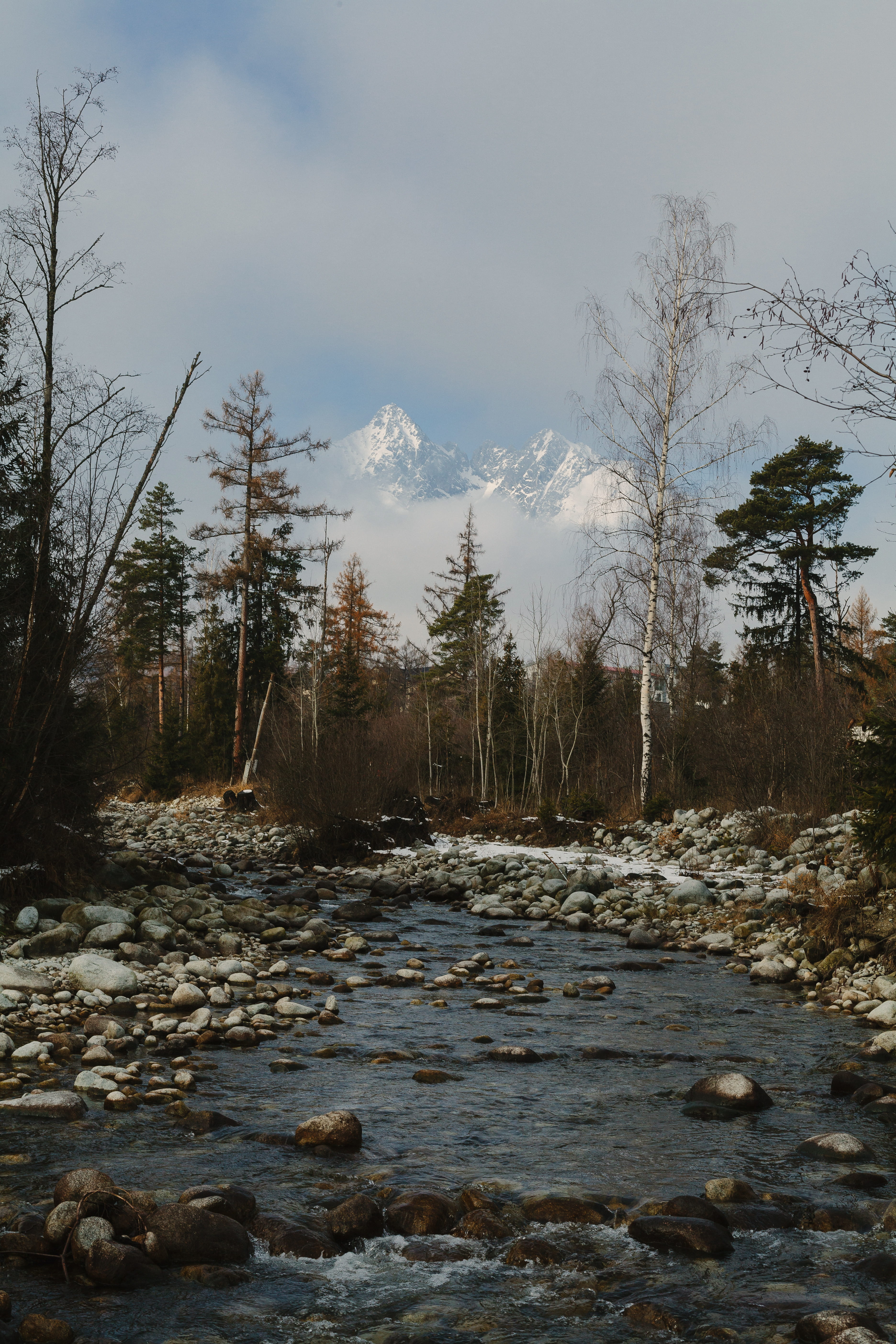 outdoors, tree, trees, tatra mountains, plant, non-urban scene, christmas, river, sky, growth, no people, solid, water, mountaints, winter, tranquil scene, Phone HD Wallpaper