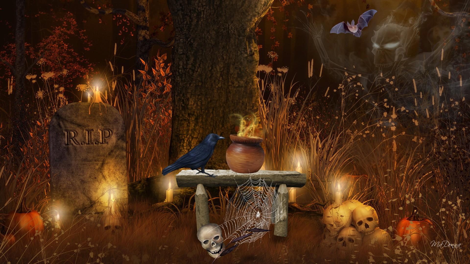 halloween, forest, graveyard, flame, spirits, trees, bench, ghost, pumpkins, 1080P, firefox persona, cand, fall, HD Wallpaper
