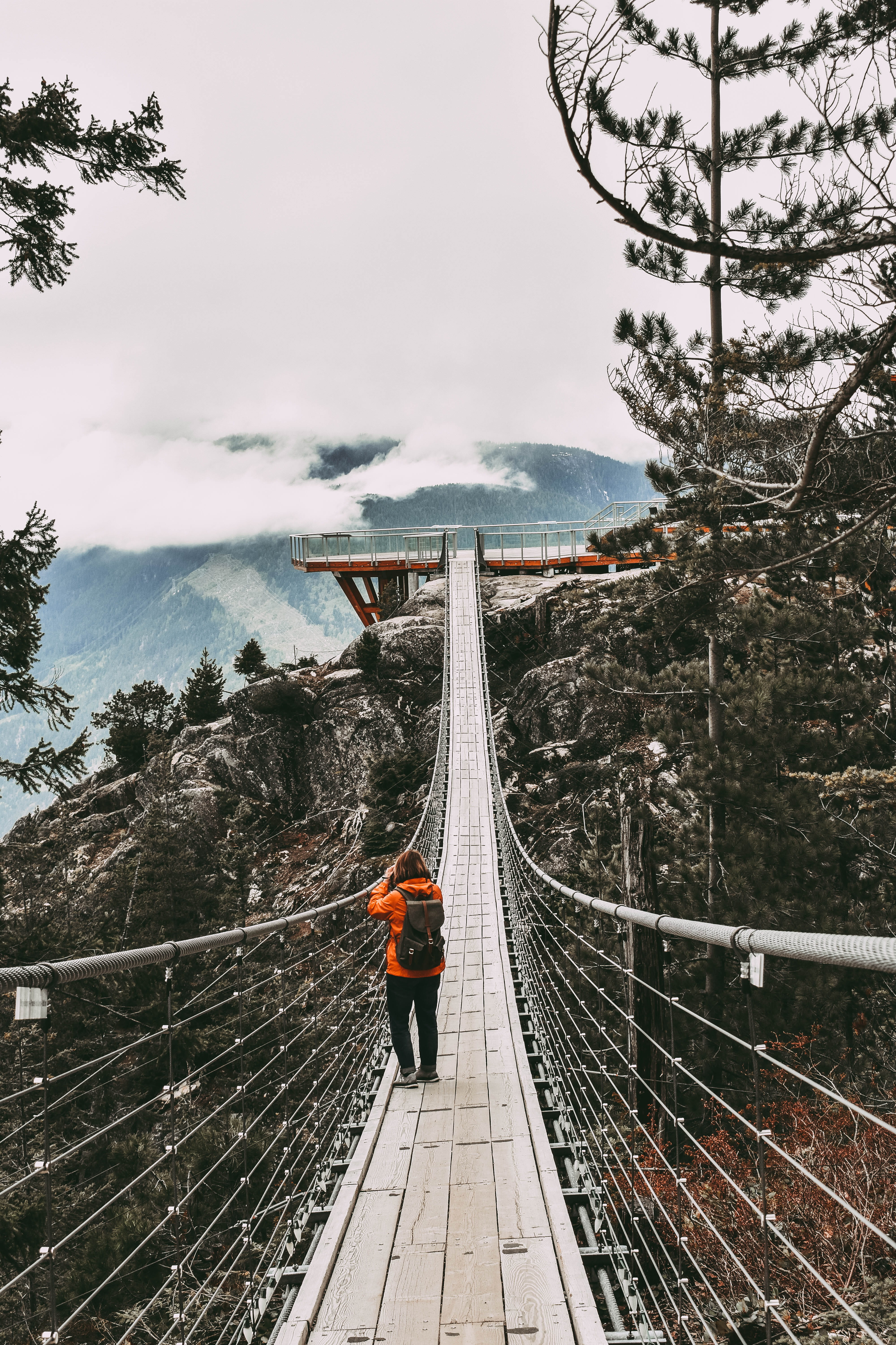5K, plant, canadian, canada, connection, day, footbridge, wilderness, bridge - man made structure, transportation, outdoor, squamish, bc, adventure, one person, Phone HD Wallpaper