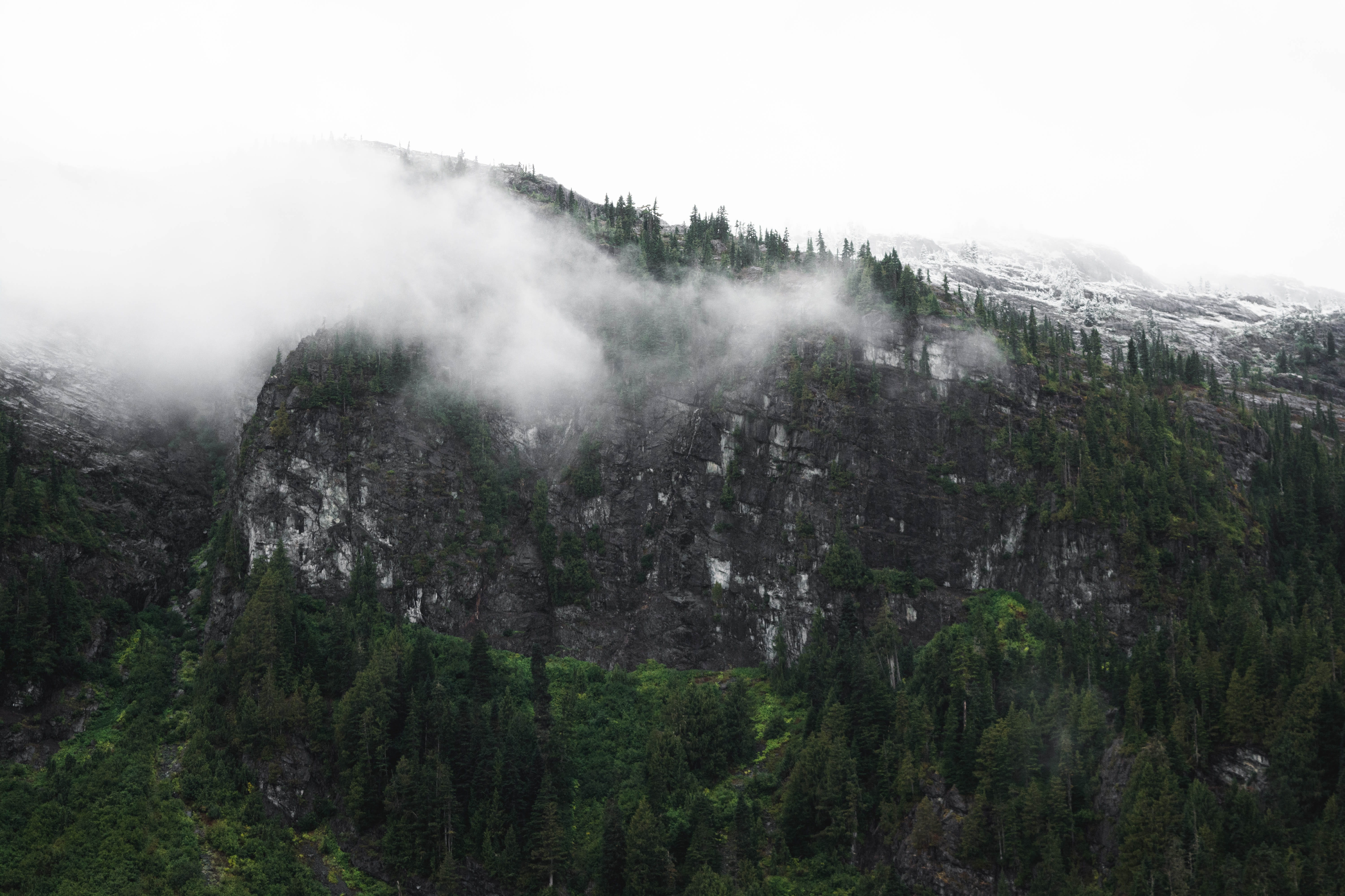 covering, scenics - nature, beauty in nature, trees, coniferous tree, land, explore, cliff, day, snow, plant, pine tree, no people, cloud, non-urban scene, HD Wallpaper