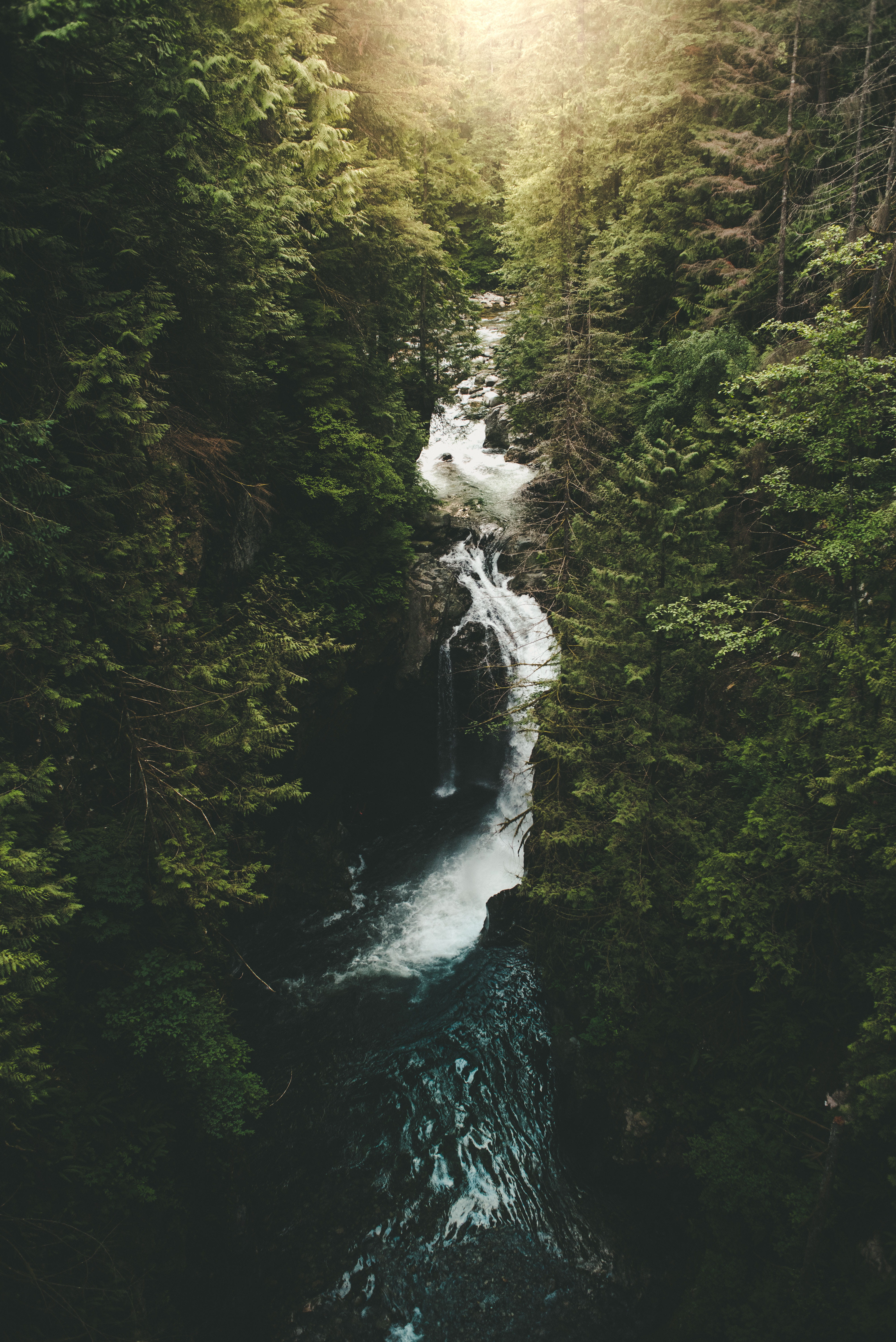 sunset, waterfall, river, beauty In Nature, tree, forest, whitewater, travel, stream, sunrise, nature, forrest, woodland, mountain, wildlife, explore, rock - Object, Phone HD Wallpaper
