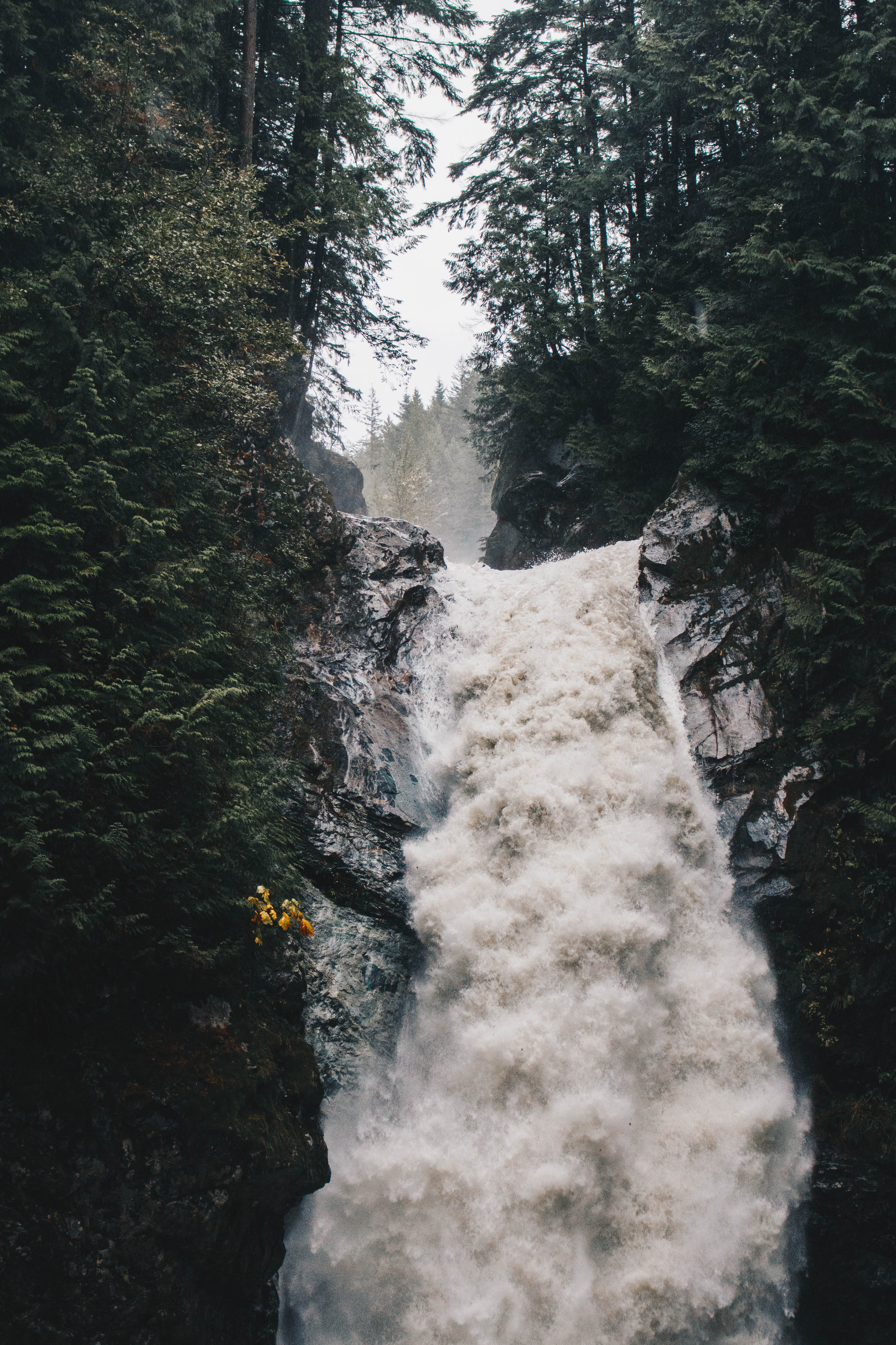 adventure, cascade falls, 5K, pnw, water, tree, awe, power in nature, bc, non-urban scene, rushing, green, power, trees, outdoor, explore, river, explorebc, Phone HD Wallpaper