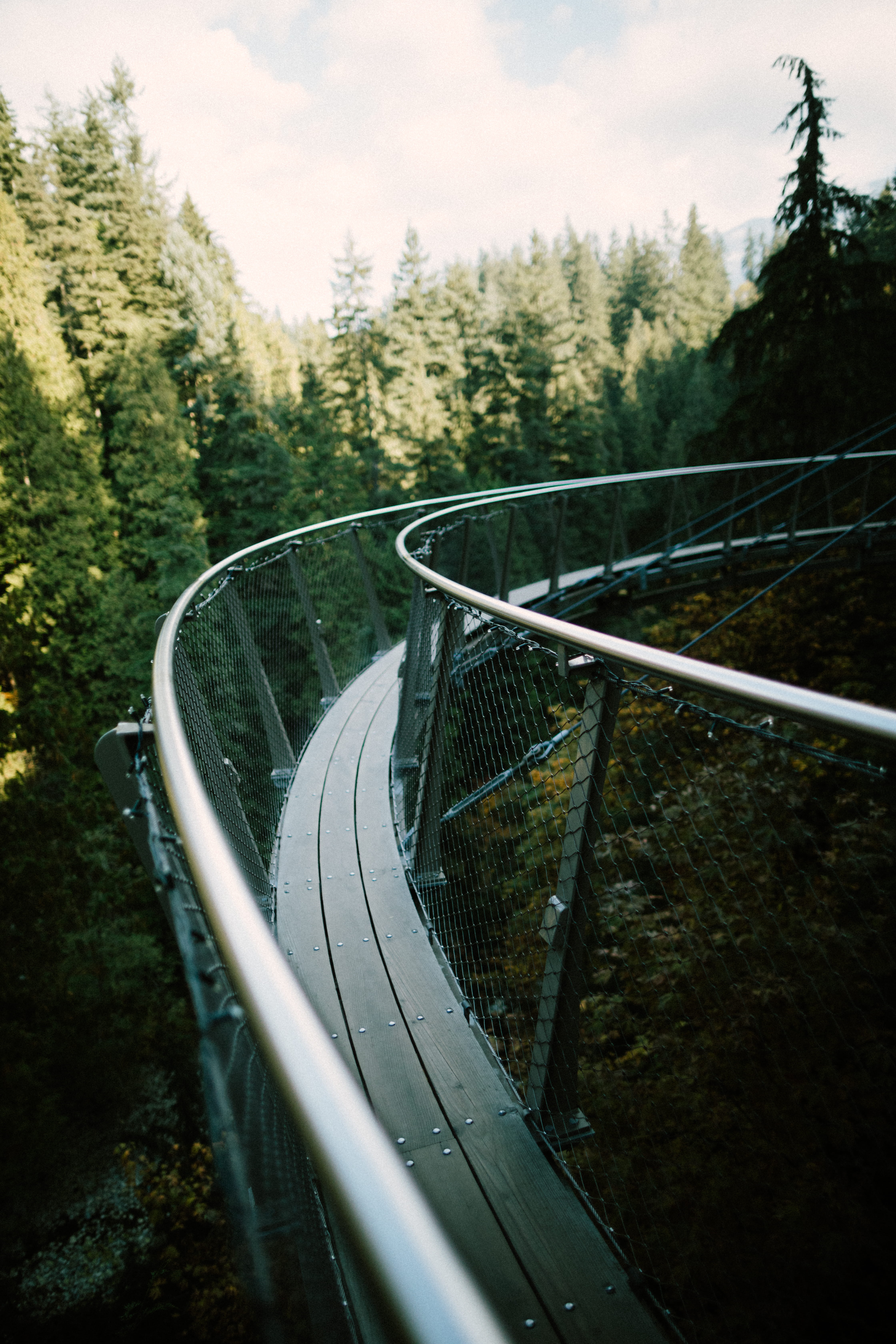 high angle view, tree, plant, trees, tranquil scene, walkway, no people, sky, bridge, sport, close, railing, absence, metal, non-urban scene, tranquility, Phone HD Wallpaper