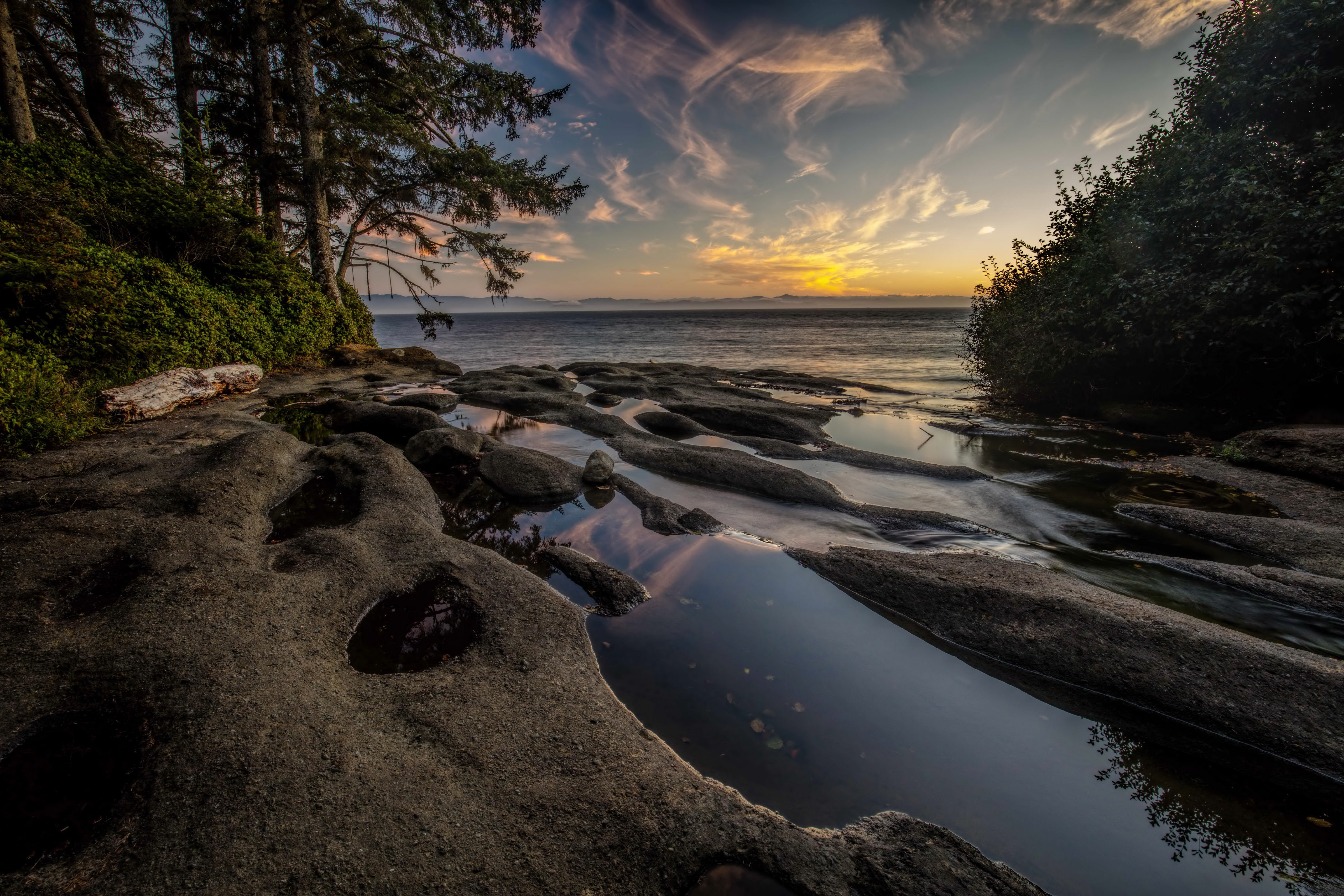 coast, Vancouver Island, National Parks, Canada, morning, trees, 4K, Bay, fog, HD Wallpaper