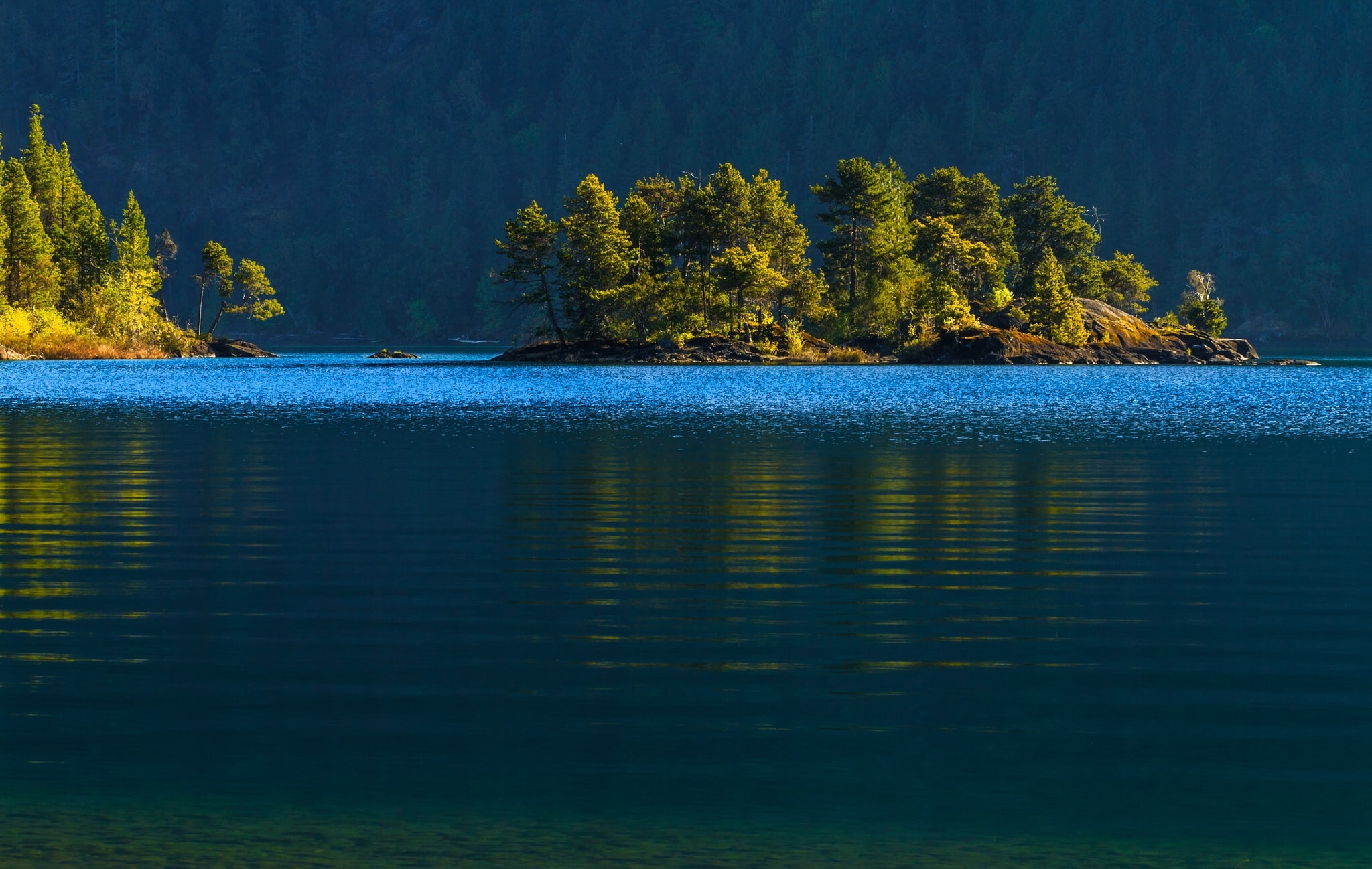 forest, Cowichan Lake, 1080P, tall, water, lake Cowichan, Canada, island, green, trees, Vancouver Island, HD Wallpaper