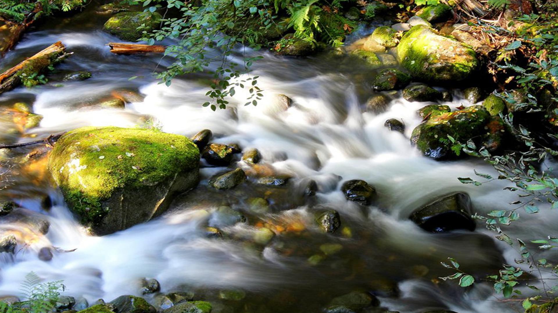 rainforest, flowing, rocks, canada, creek, 3d and abst, lapse, forest, 1080P, water, vancouver island, boulders, river, time, stream, photo, HD Wallpaper