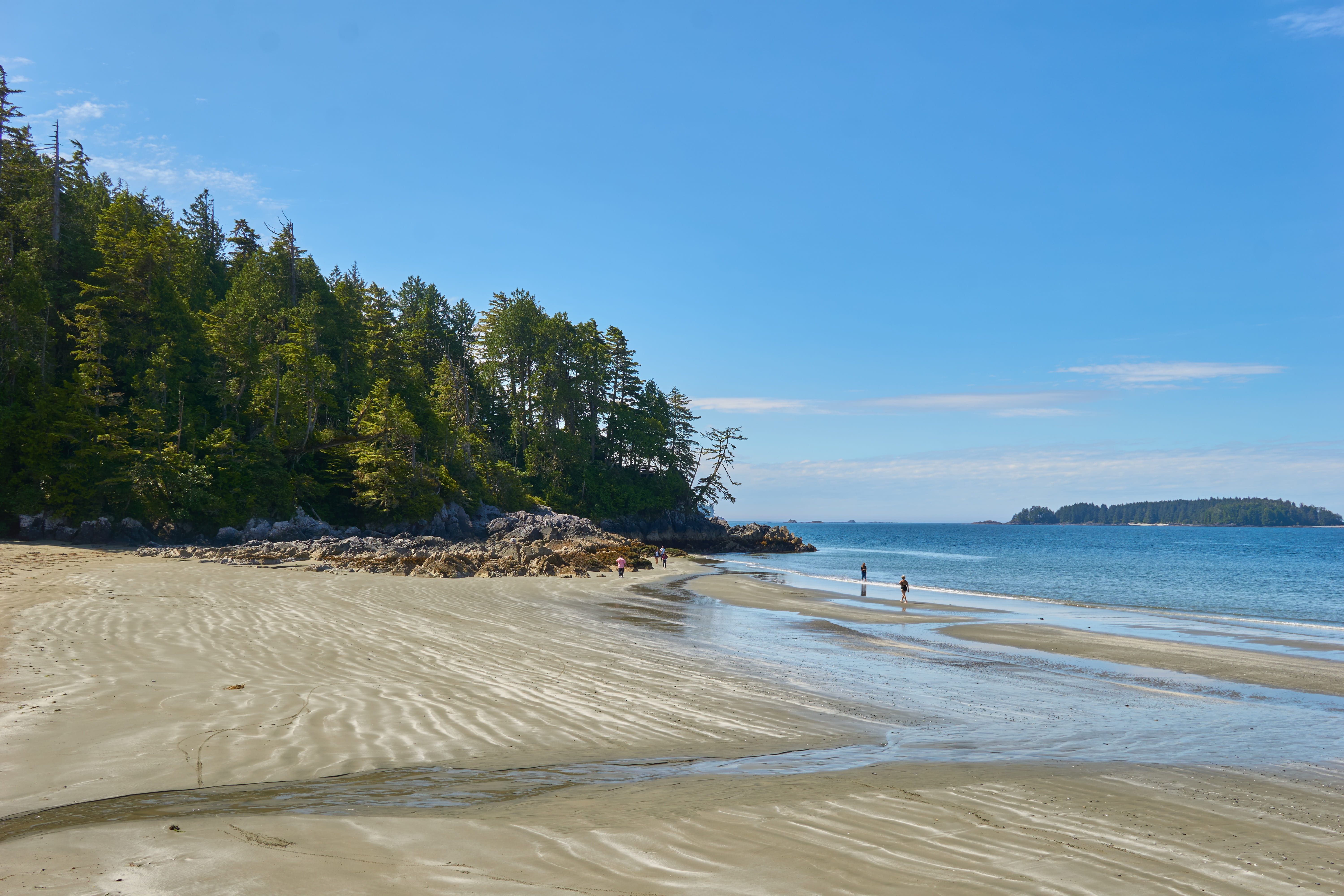 no people, sea, plant, non-urban scene, summer, beauty in nature, water, beach, tofino, sky, sand, day, tree, idyllic, pacific, cloud - sky, tranquility, HD Wallpaper