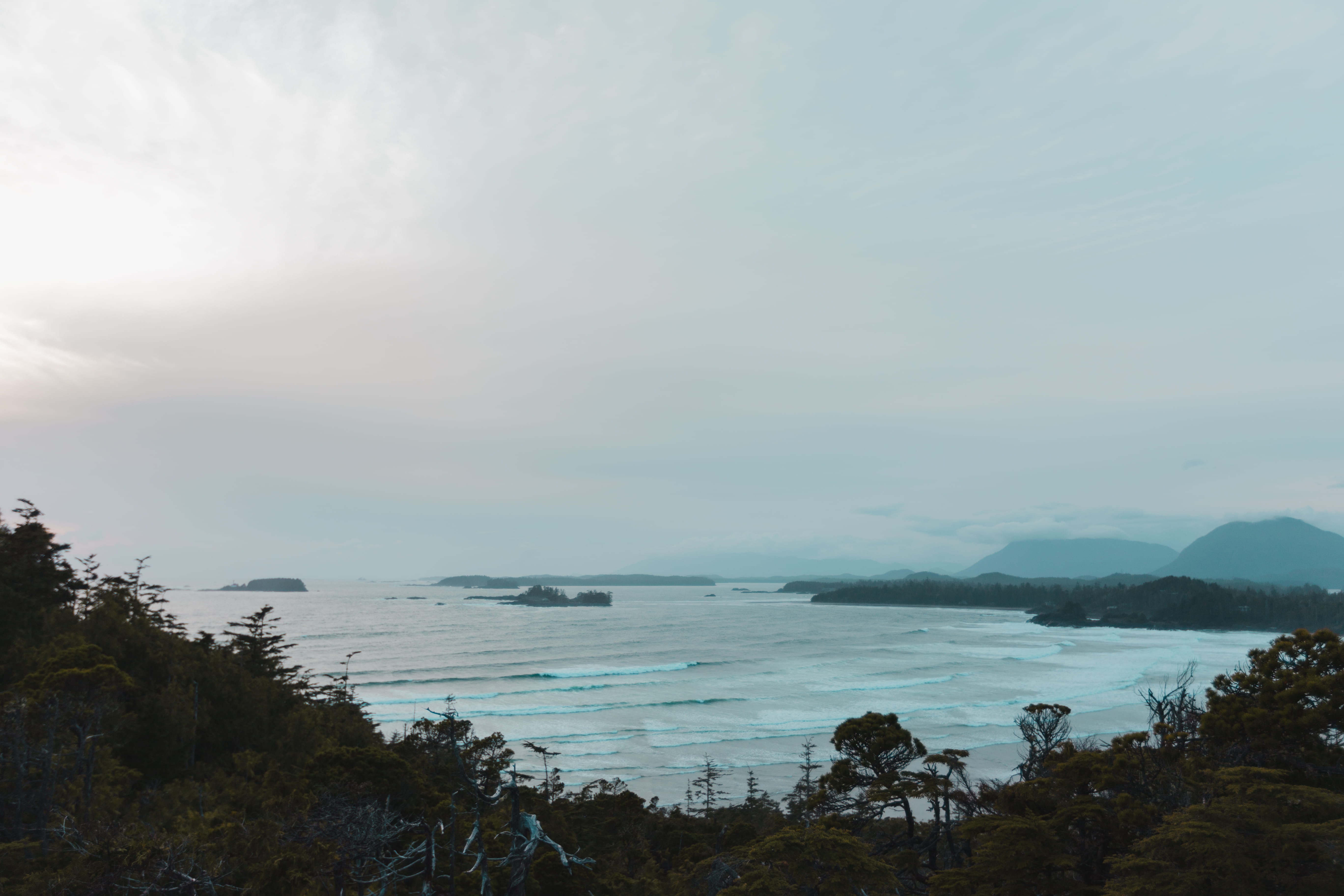 outdoors, non-urban scene, no people, land, tranquil scene, tranquility, water, sea, nature, tree, idyllic, 5K, beauty in nature, cox bay beach, tofino, HD Wallpaper