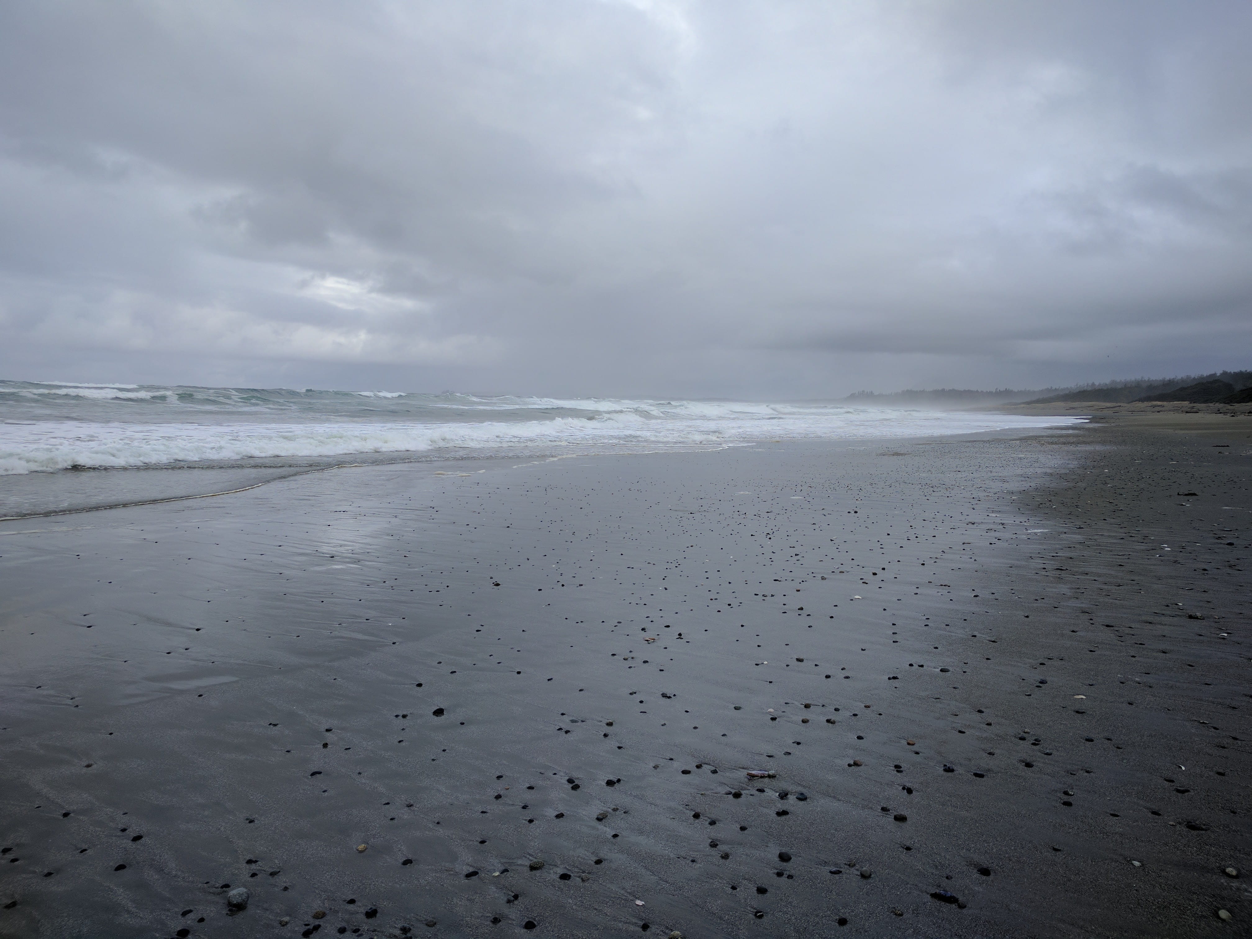 sandy beach, tranquility, beauty in nature, pacific northwest, coast, nature, wave, ocean, pacific ocean, cloud - sky, sea, day, water, 4K, horizon, open ocean, HD Wallpaper