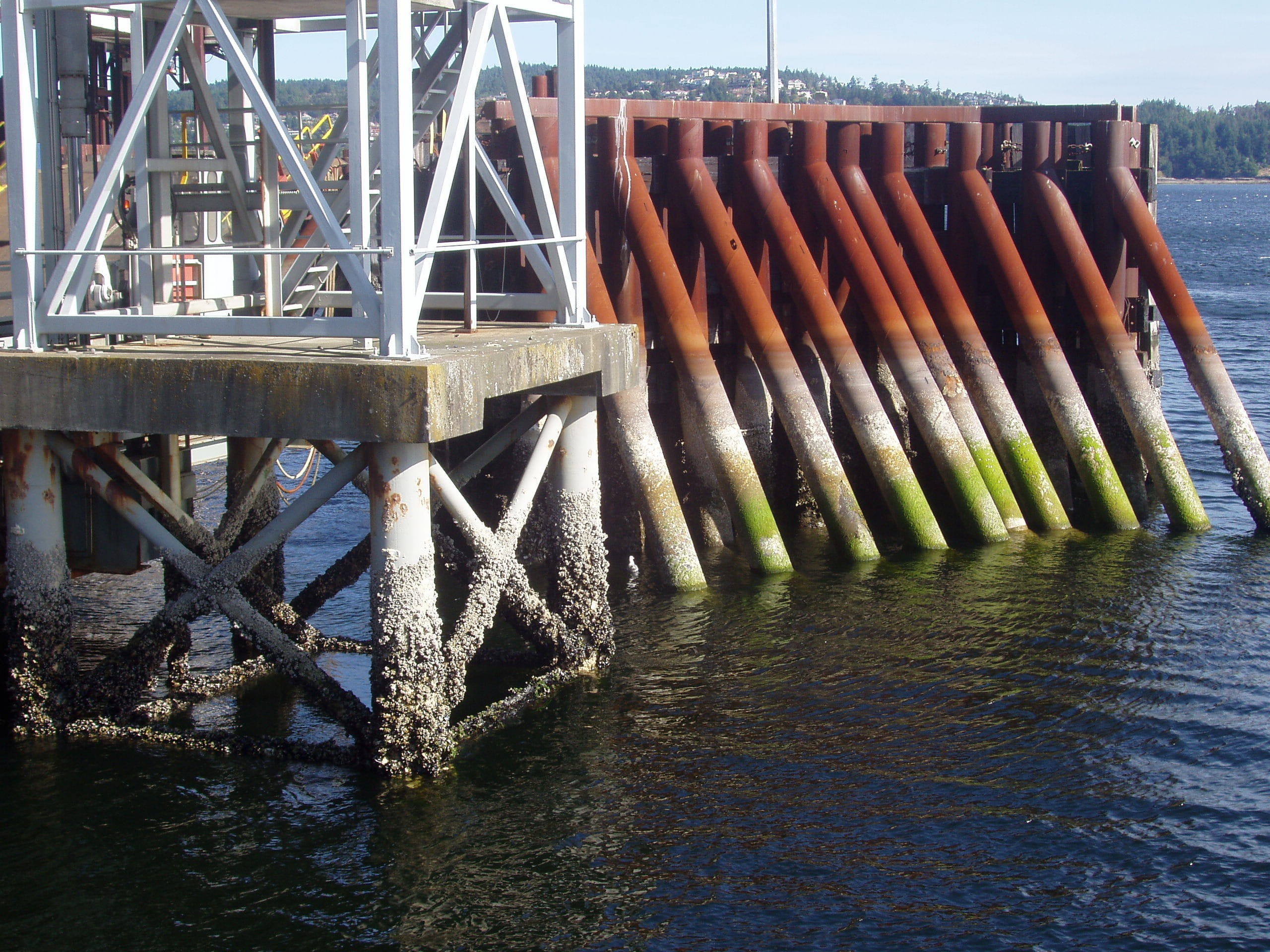 wood - material, Shoreline, 2K, pacific, nature, canada, mussels, Tofino, metal, bridge - man made structure, day, river, colorful, pier, vancouver island, HD Wallpaper