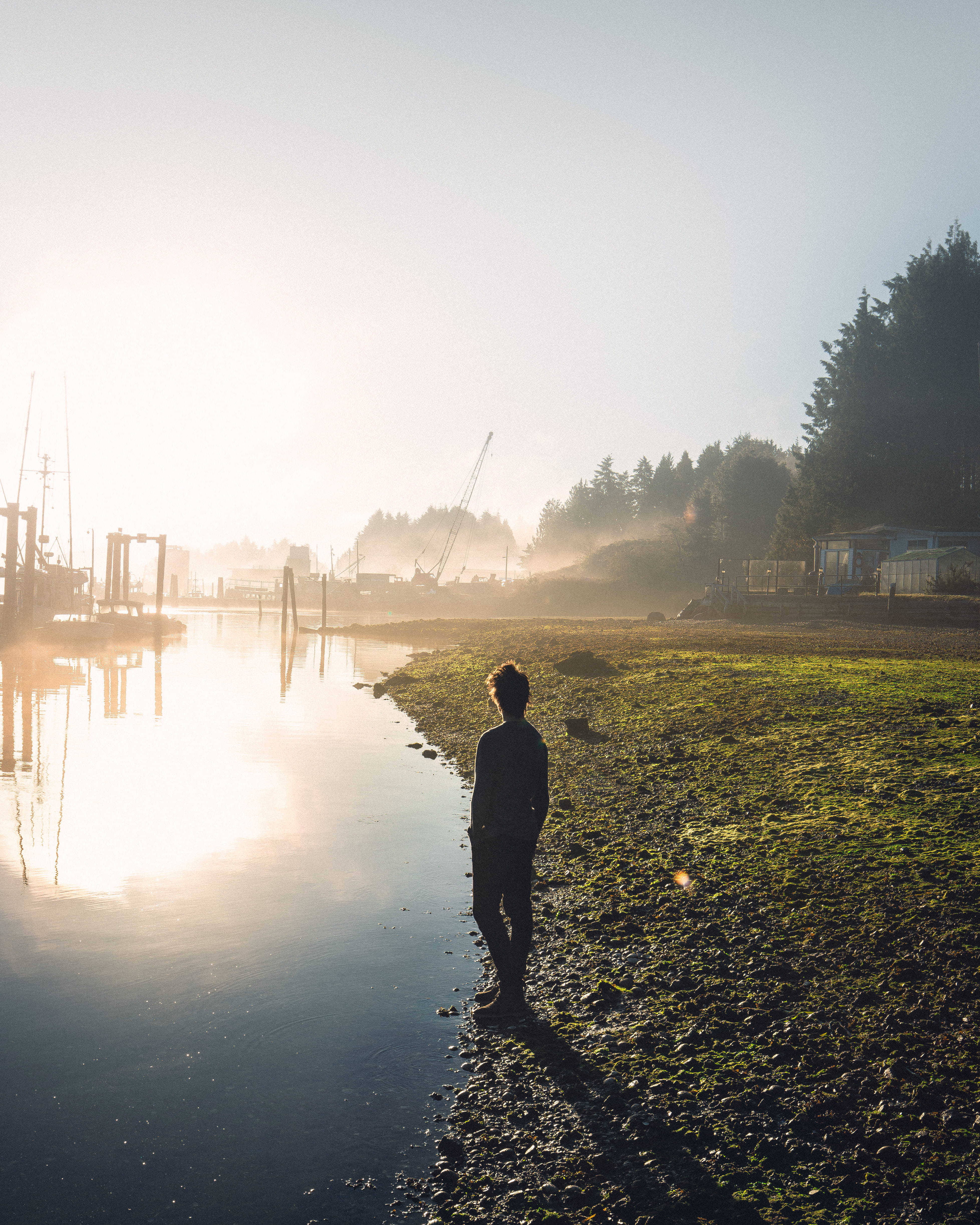 plant, leisure activity, full length, sunlight, outdoors, Sunset, water, land, Tofino, rear view, standing, one person, Canada, Fog, Landscape, Reflection, Phone HD Wallpaper