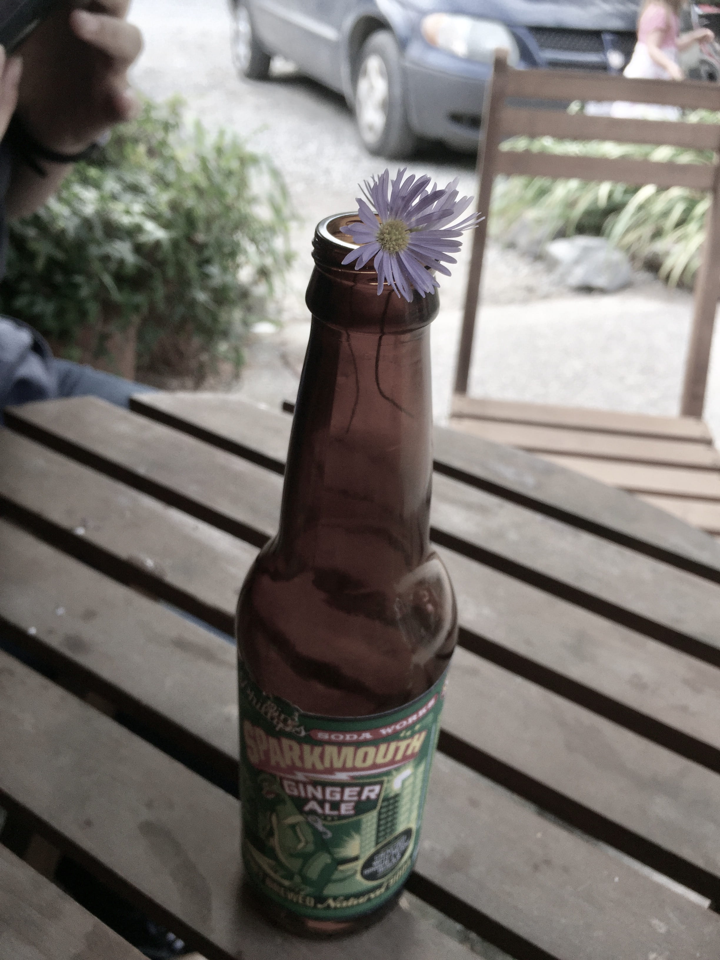 outdoors, human hand, 2K, ale, daisy, beer, party, tofino, drink, sunlight, purple, high angle view, human body part, focus on foreground, unrecognizable person, Phone HD Wallpaper