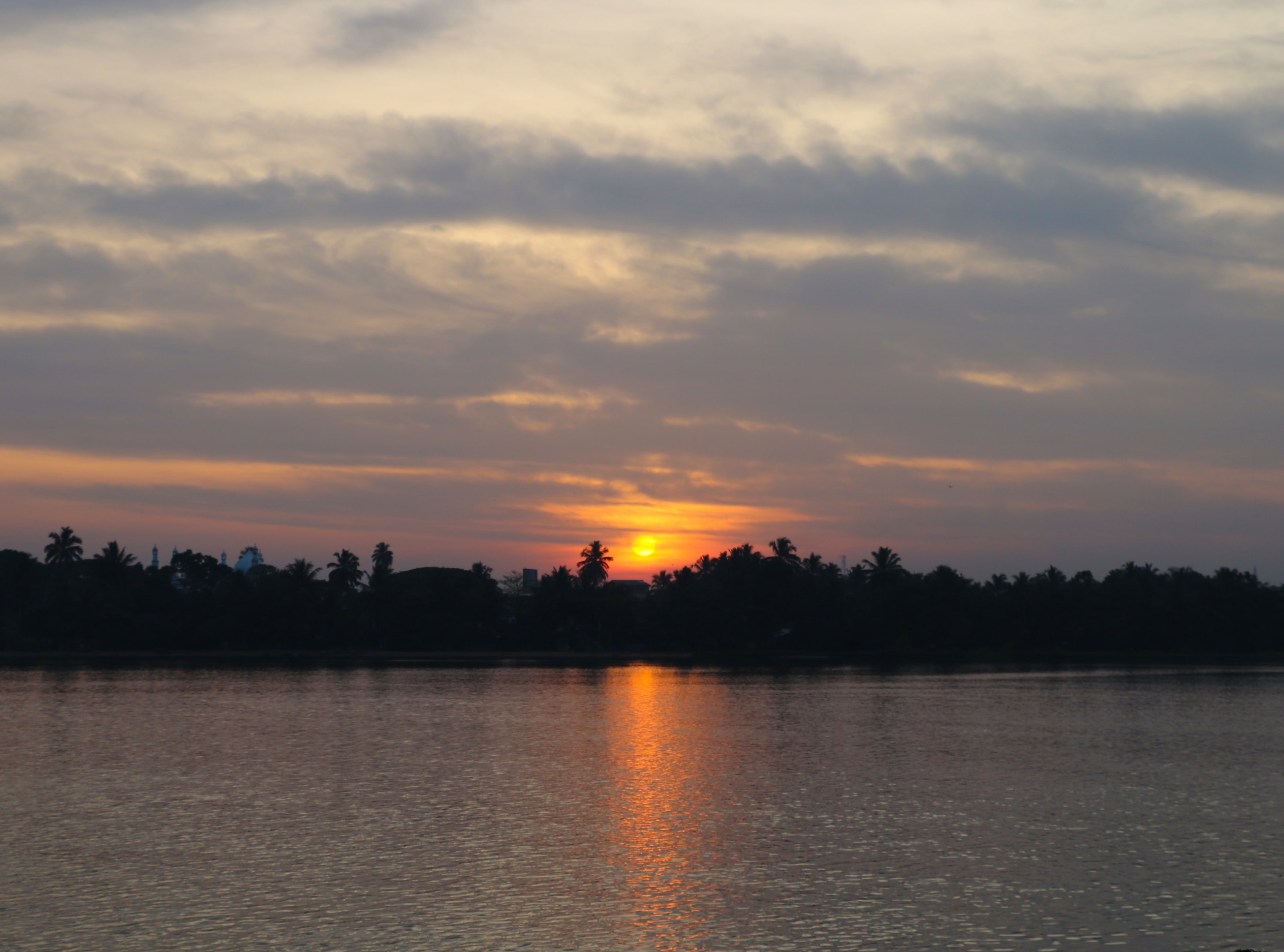 rise, sun, tree, avani hotel, sky, lanka, reflection, lake, sri lanka, sri, idyllic, sunrise, hotel, avani, 2K, cloud - sky, beauty in nature, kaluthara, HD Wallpaper