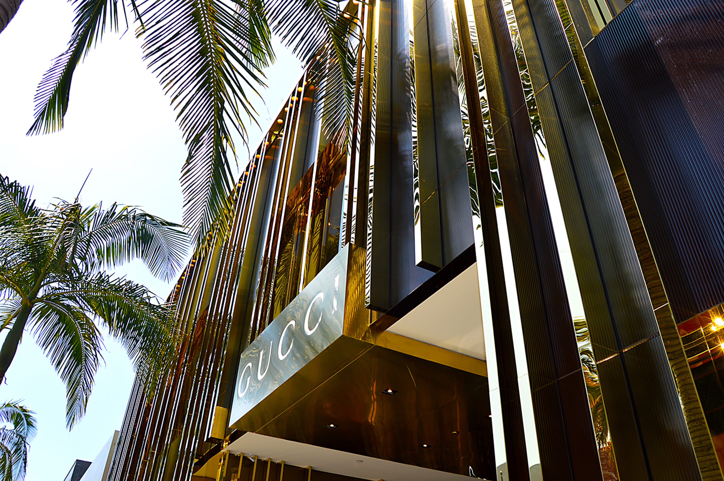 rich, palm tree, tree, no people, bamboo - plant, low angle view, tall - high, 2K, nature, plant, outdoors, sunlight, coconut palm tree, beverly hills, HD Wallpaper