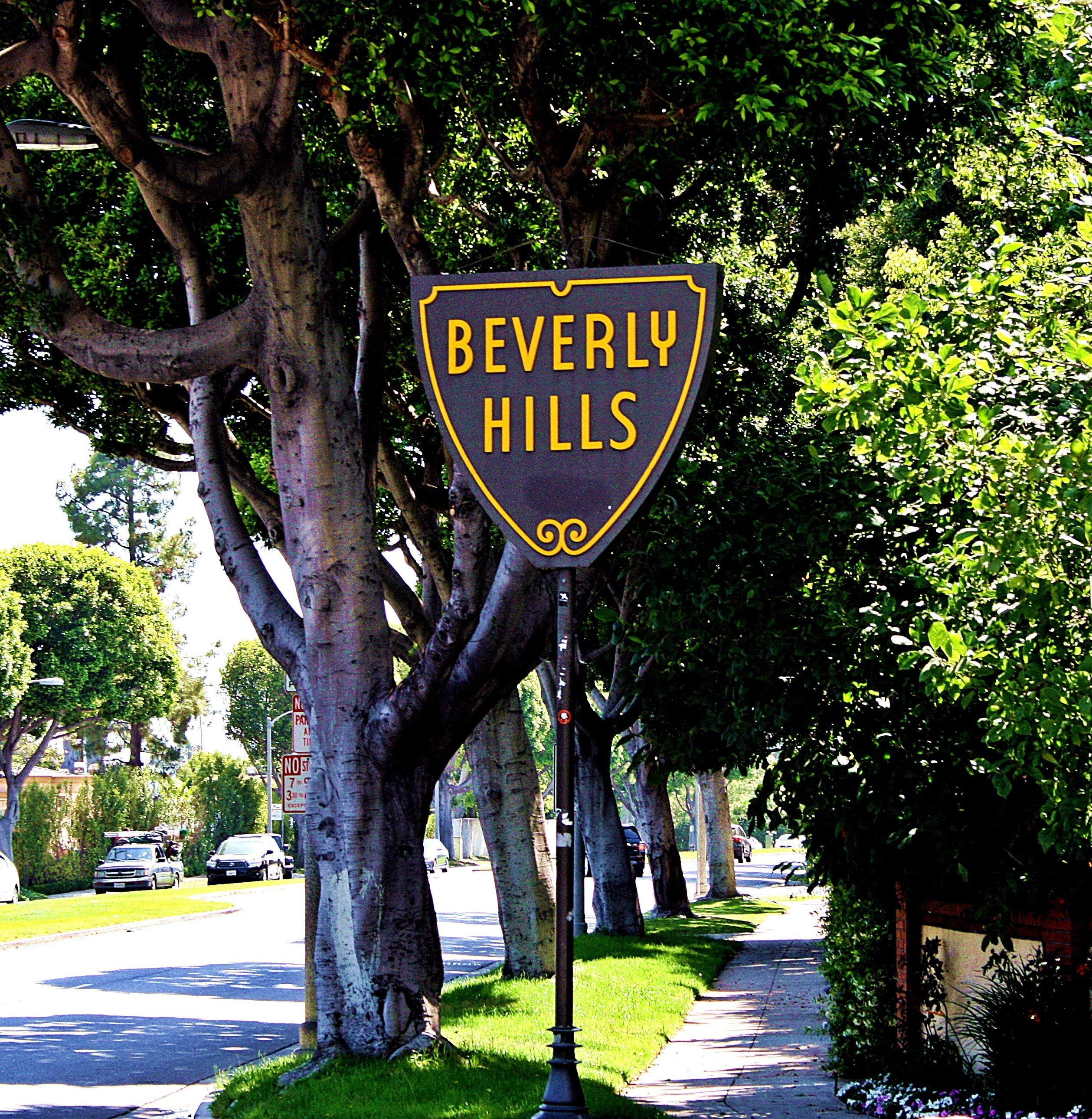 capital letter, street, day, park, 2K, growth, direction, city, sign, communication, beverly hills, nature, information sign, outdoors, sunlight, plant, Phone HD Wallpaper