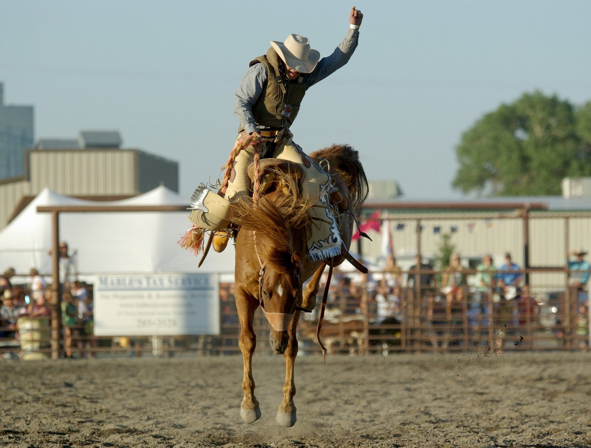 1080P, Sport, Cowboy, Rodeo, Sports, Horse, HD Wallpaper