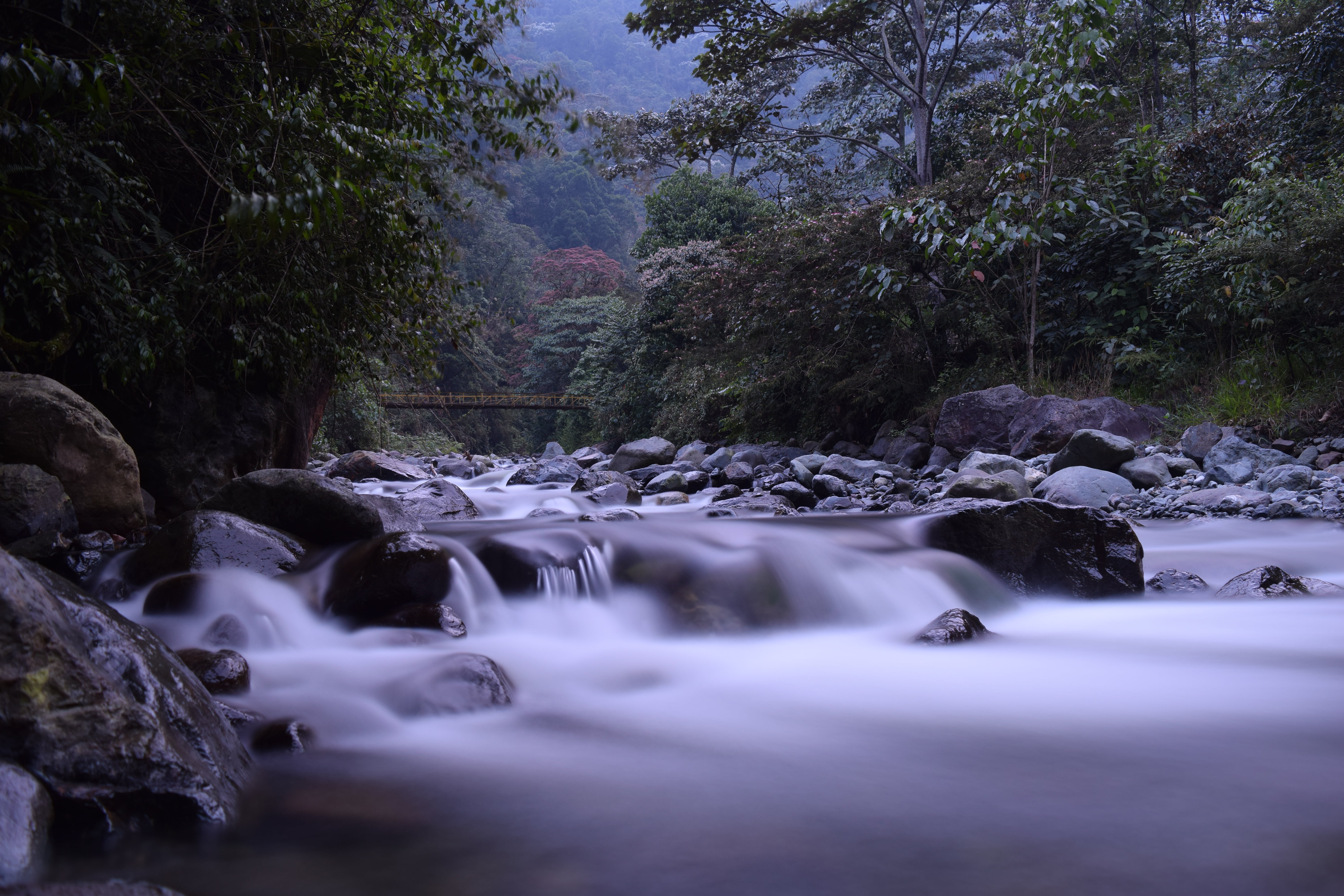 motion, south america, stone, bello, nature, vegetable kingdom, diversity, trees, rock, natural, paradise, flowing water, rock - object, jamundí, outdoors, HD Wallpaper