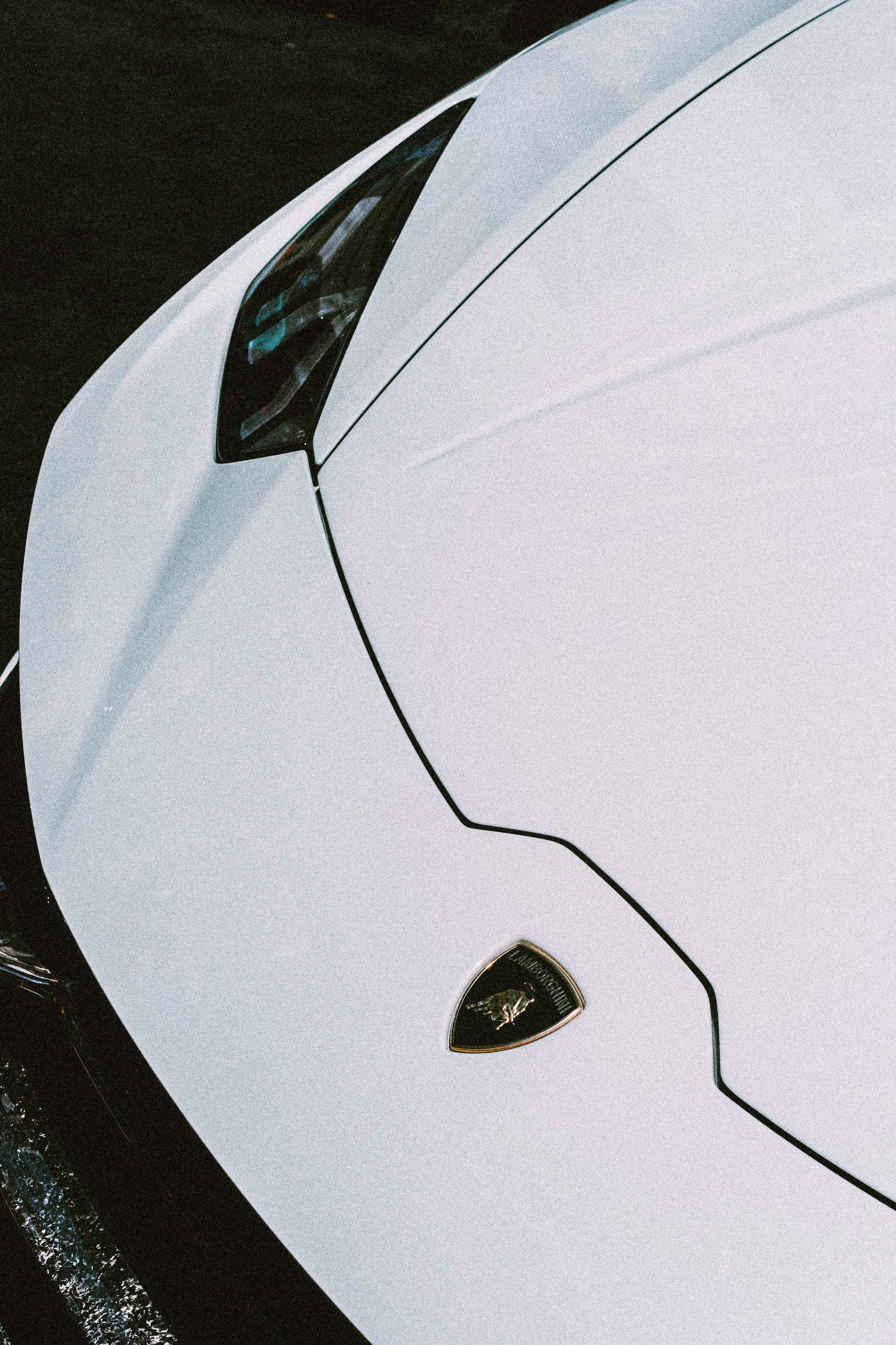 lamborghini, indoors, close-up, hypebeast, united states, metal, vehicle hood, white color, los angeles, cars, detail, design, beverly hills, 4K, rodeo drive, Phone HD Wallpaper
