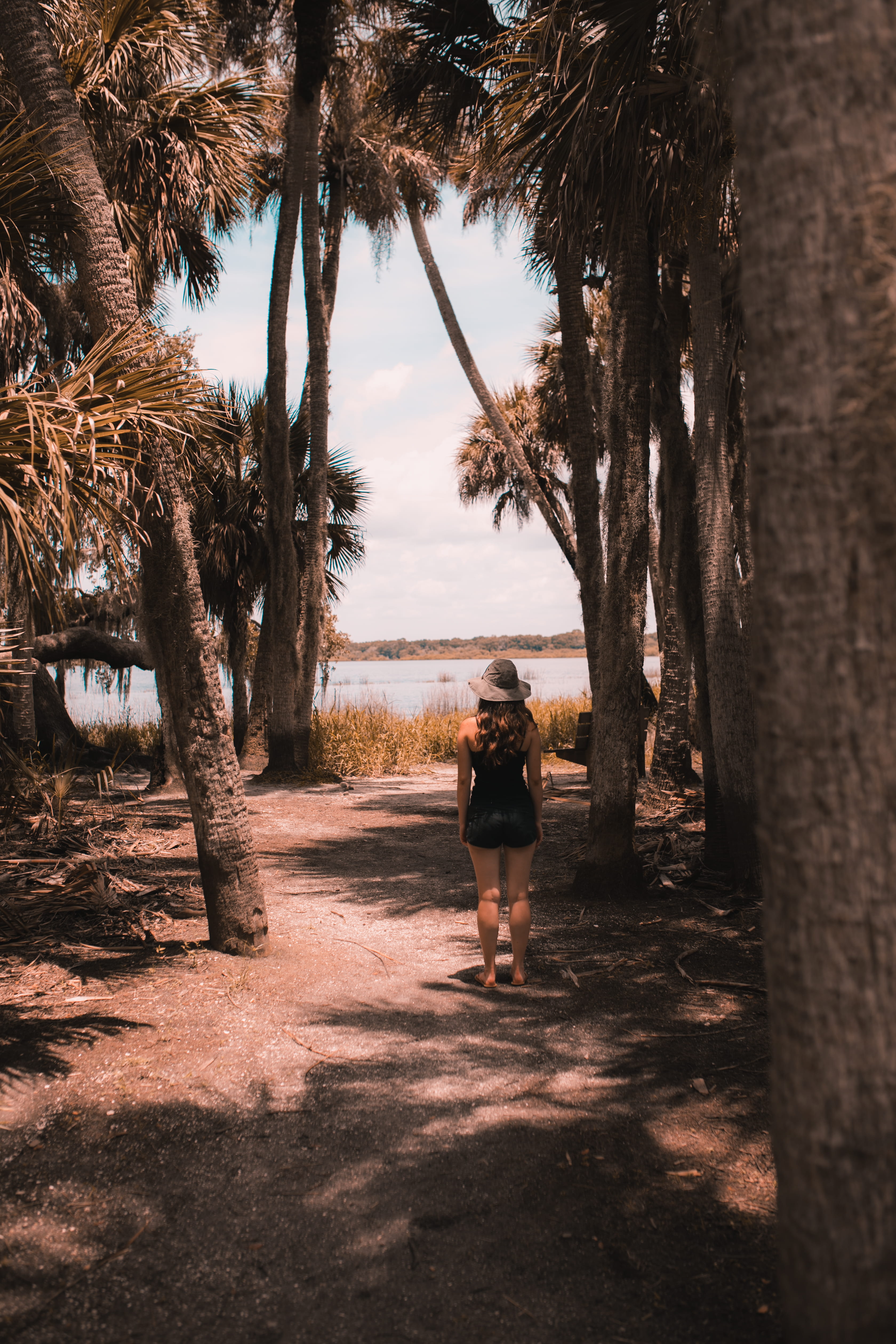 united states, leisure activity, road, growth, gravel, exercise, adult, myakka river state park, working out, flora, women, tree trunk, near, jogging, one person, Phone HD Wallpaper