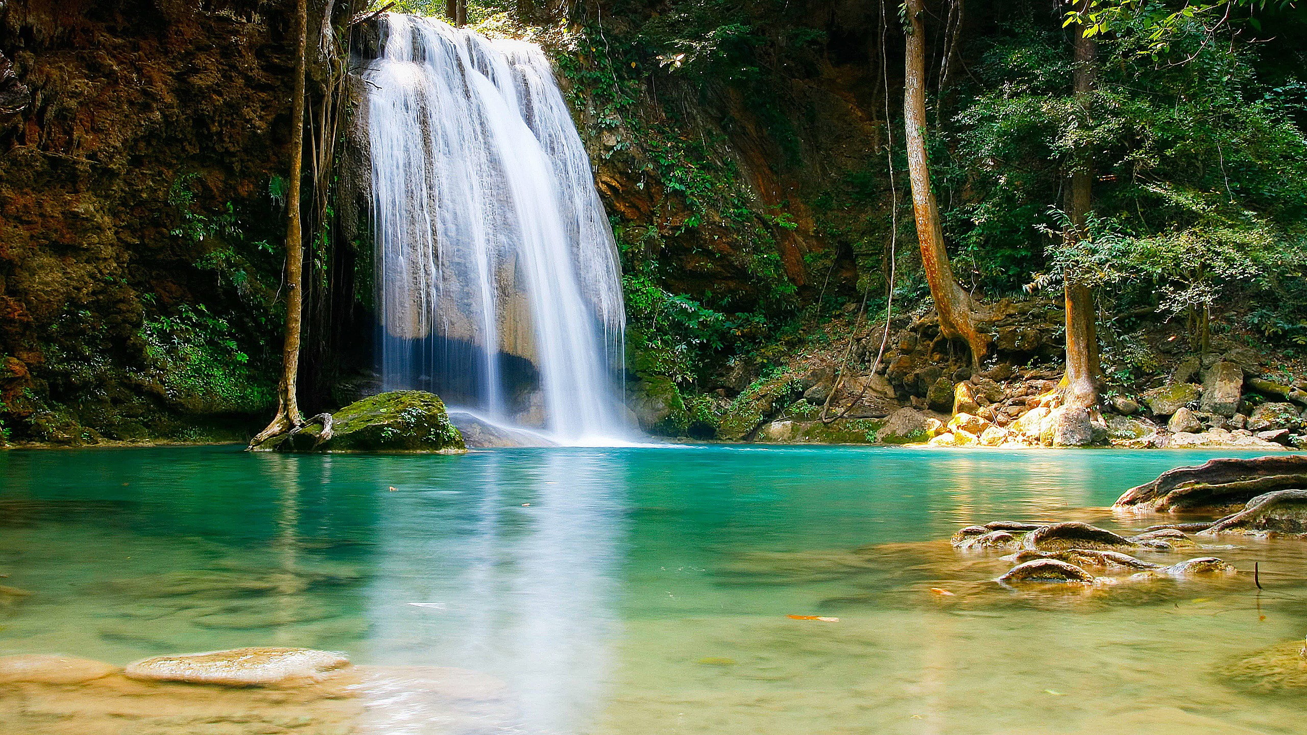 non-urban scene, rock - object, environment, tree, scenics - nature, water, falling water, power in nature, rainforest, plant, 2K, forest, waterfall, nature, HD Wallpaper