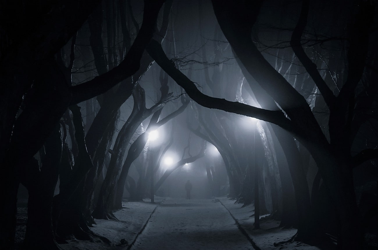 tranquility, plant, 720P, treelined, trees, spooky, urban, tunnel, Poland, mist, road, street light, no people, tree trunk, silhouette, forest, direction, HD Wallpaper