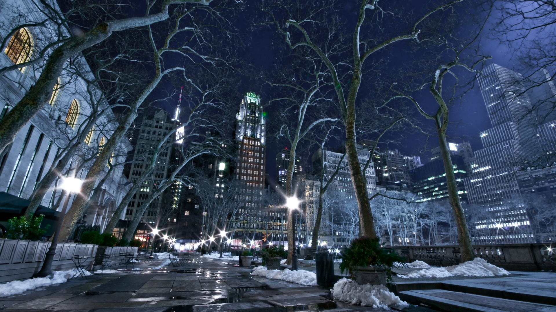 trees, illuminated, birch, built structure, building exterior, 1080P, New York City, city, building, light, direction, cold temperature, winter, no people, HD Wallpaper