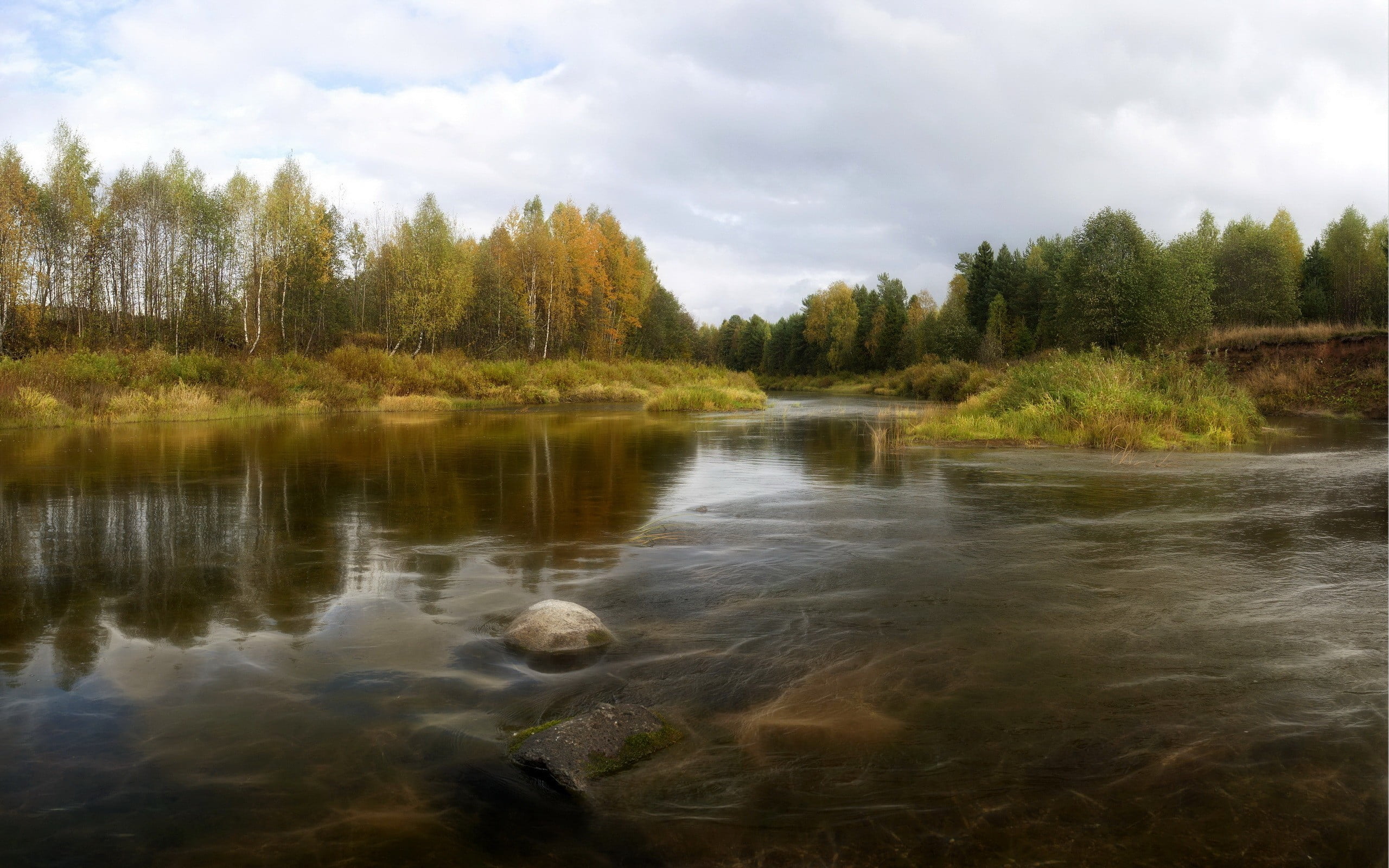 scenics - nature, nature, trees, river, flowing water, water, landscape, swamp, green, tranquility, rocks, sky, day, non-urban scene, forest, no people, HD Wallpaper