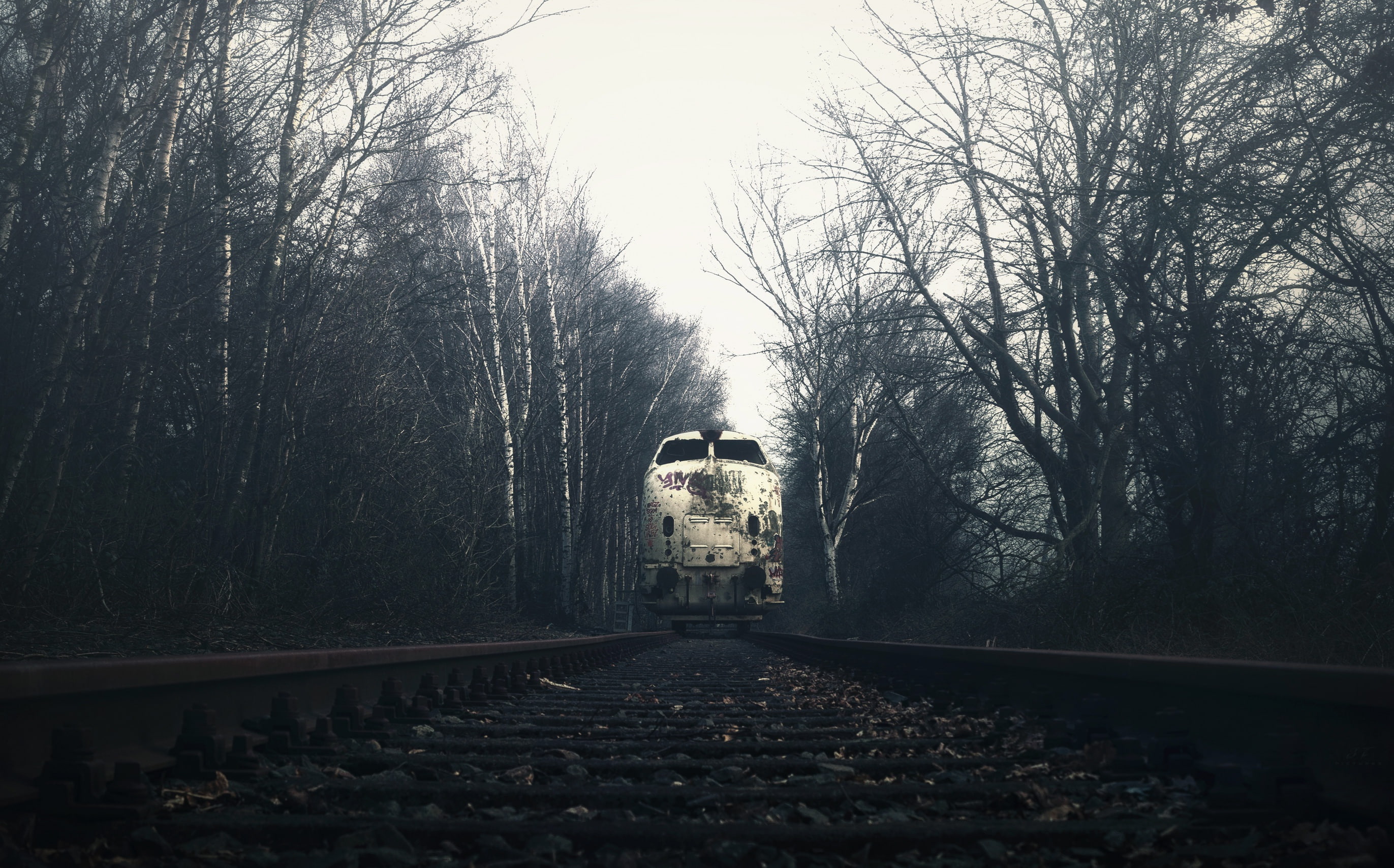 overcast, train, railway, fall, wreck, 2K, vehicle, dark, trees, birch, HD Wallpaper