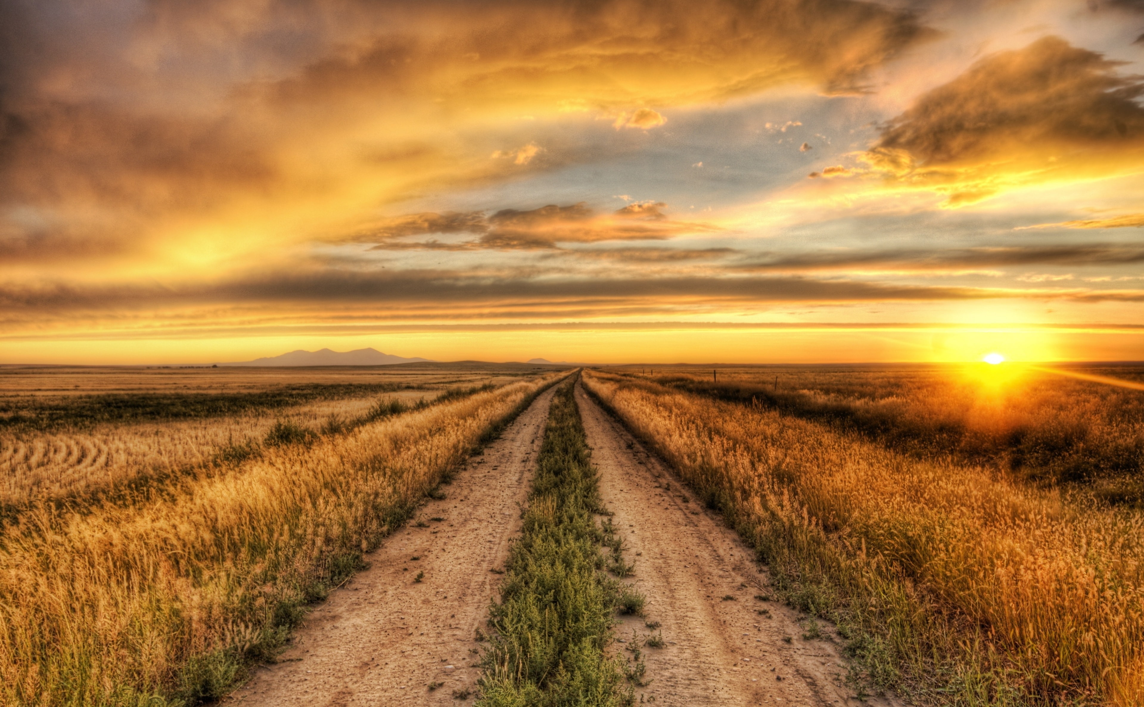 Nature, tranquil scene, Sunset, cloud - sky, direction, grass, Landscape, plant, rural scene, diminishing perspective, agriculture, 4K, sun, beauty in nature, HD Wallpaper