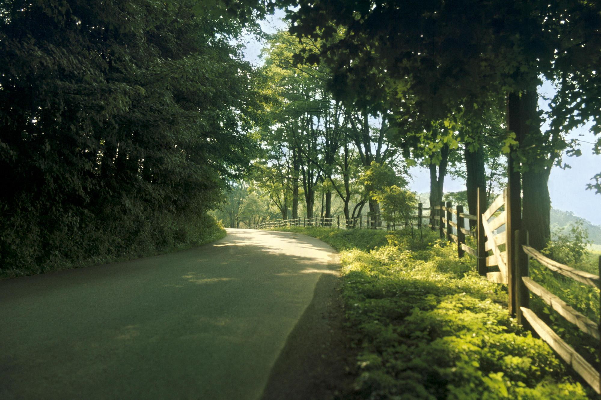 road, fence, 1080P, trees, 3d and abstract, countryside, country, veiw, HD Wallpaper