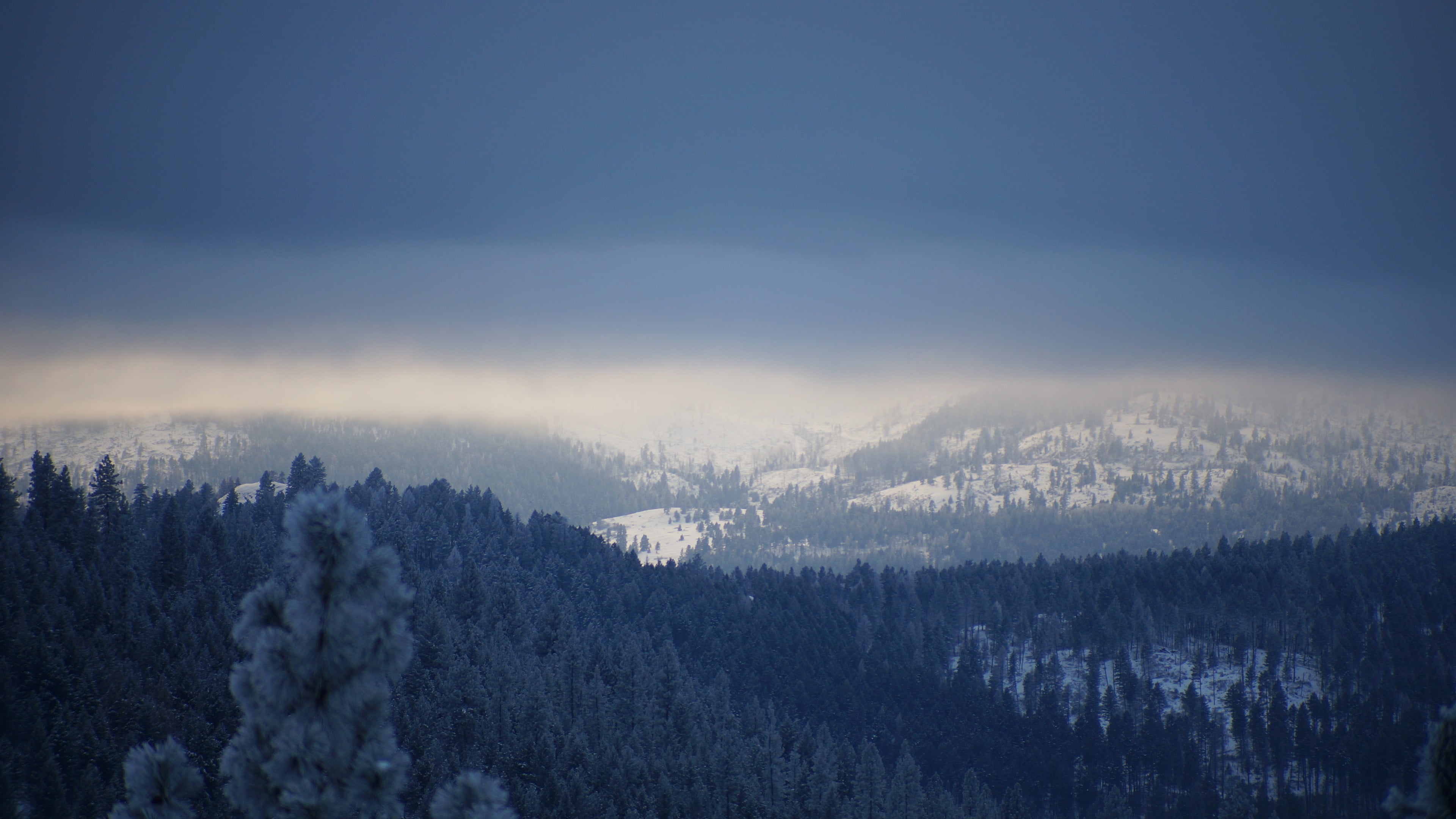 mountains, 4K, scenics - nature, tranquil scene, covered, forest, fog, woodland, pine woodland, environment, sky, mountain, formation, landscape, overcast, HD Wallpaper
