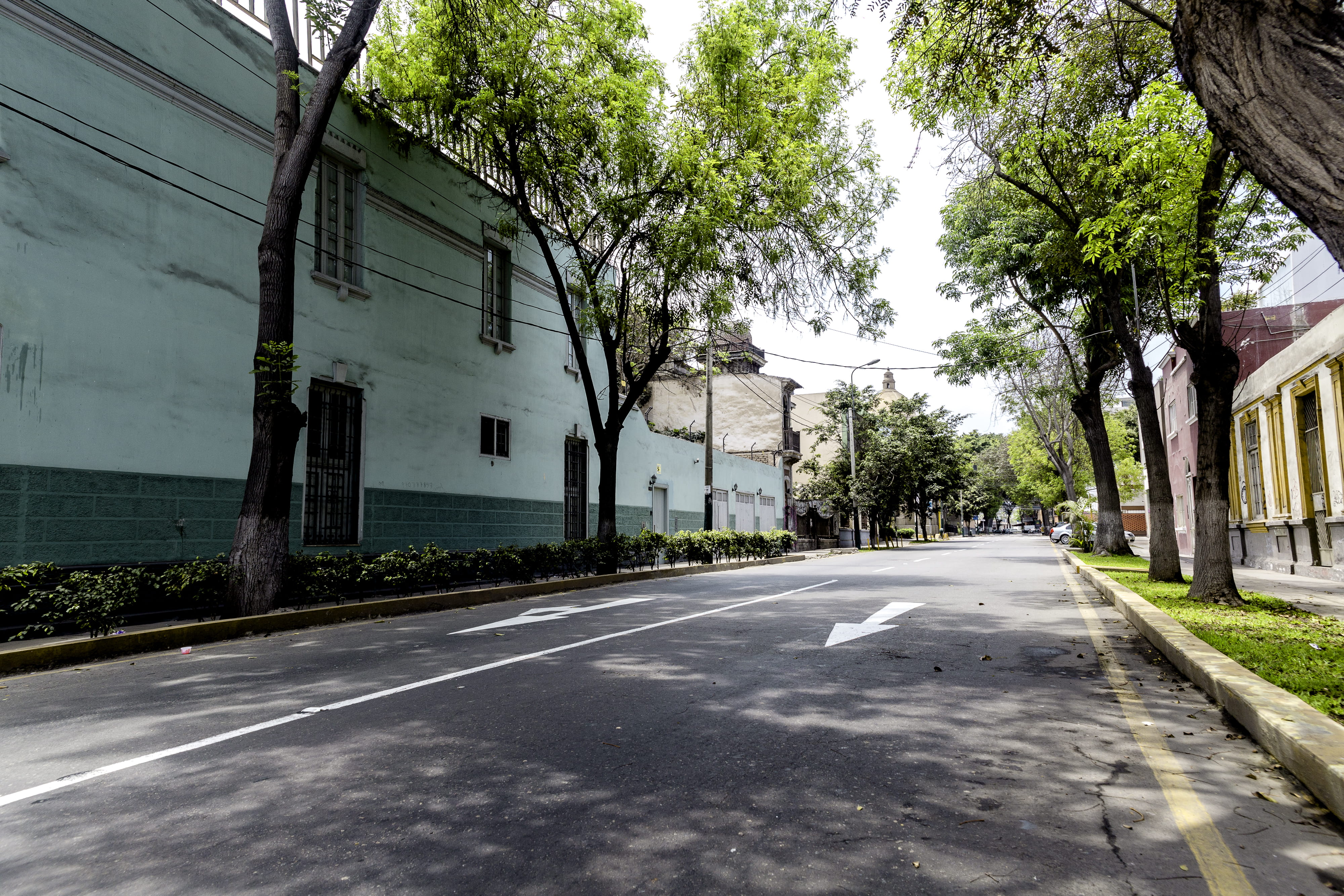 nature, the way forward, outdoors, diminishing perspective, plant, building exterior, architecture, road marking, barranco, day, peru, empty, building, HD Wallpaper