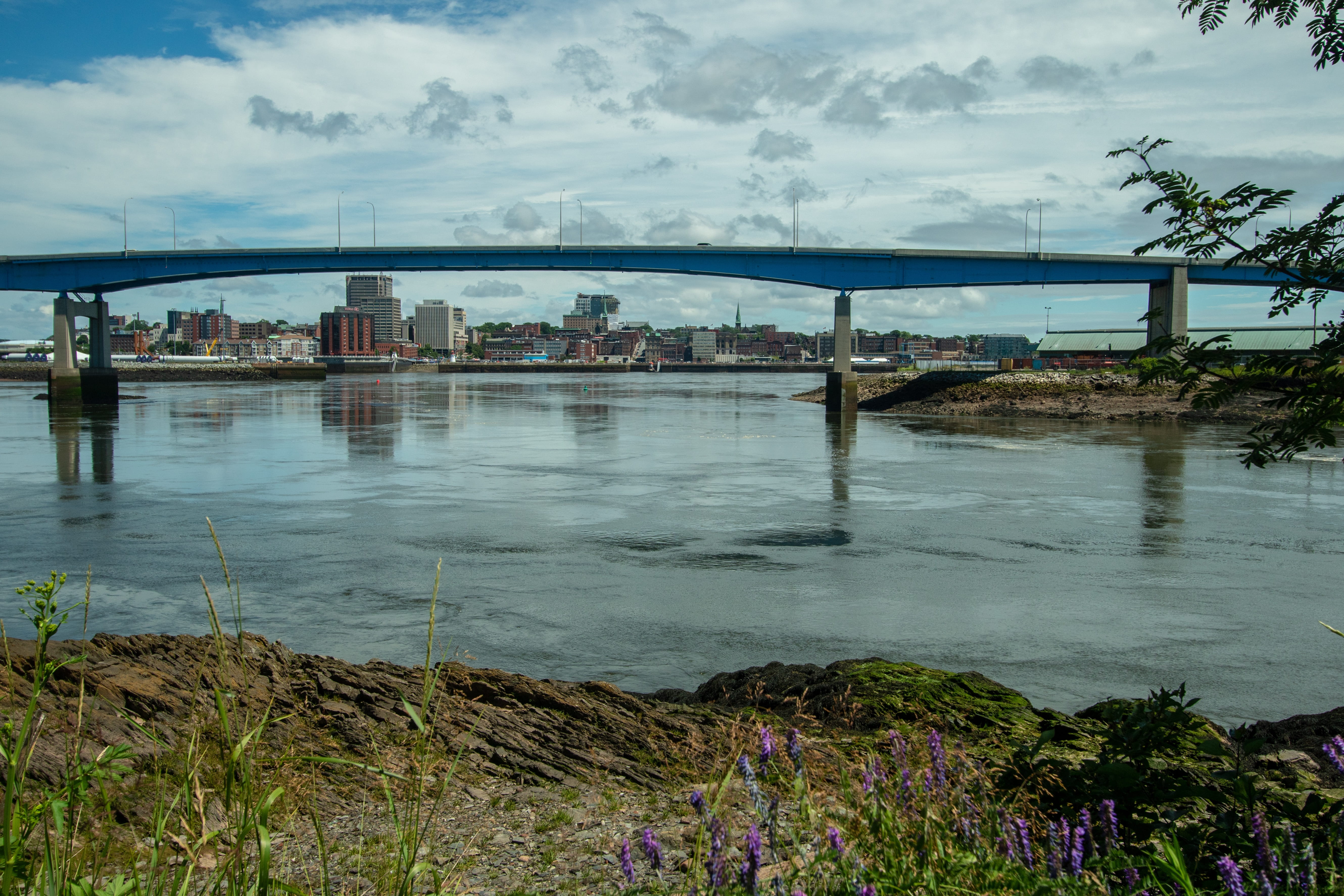 city, plant, no people, built structure, transportation, buildings, fundy tides, sky, architecture, saint john, connection, rocks, nature, cloud - sky, HD Wallpaper