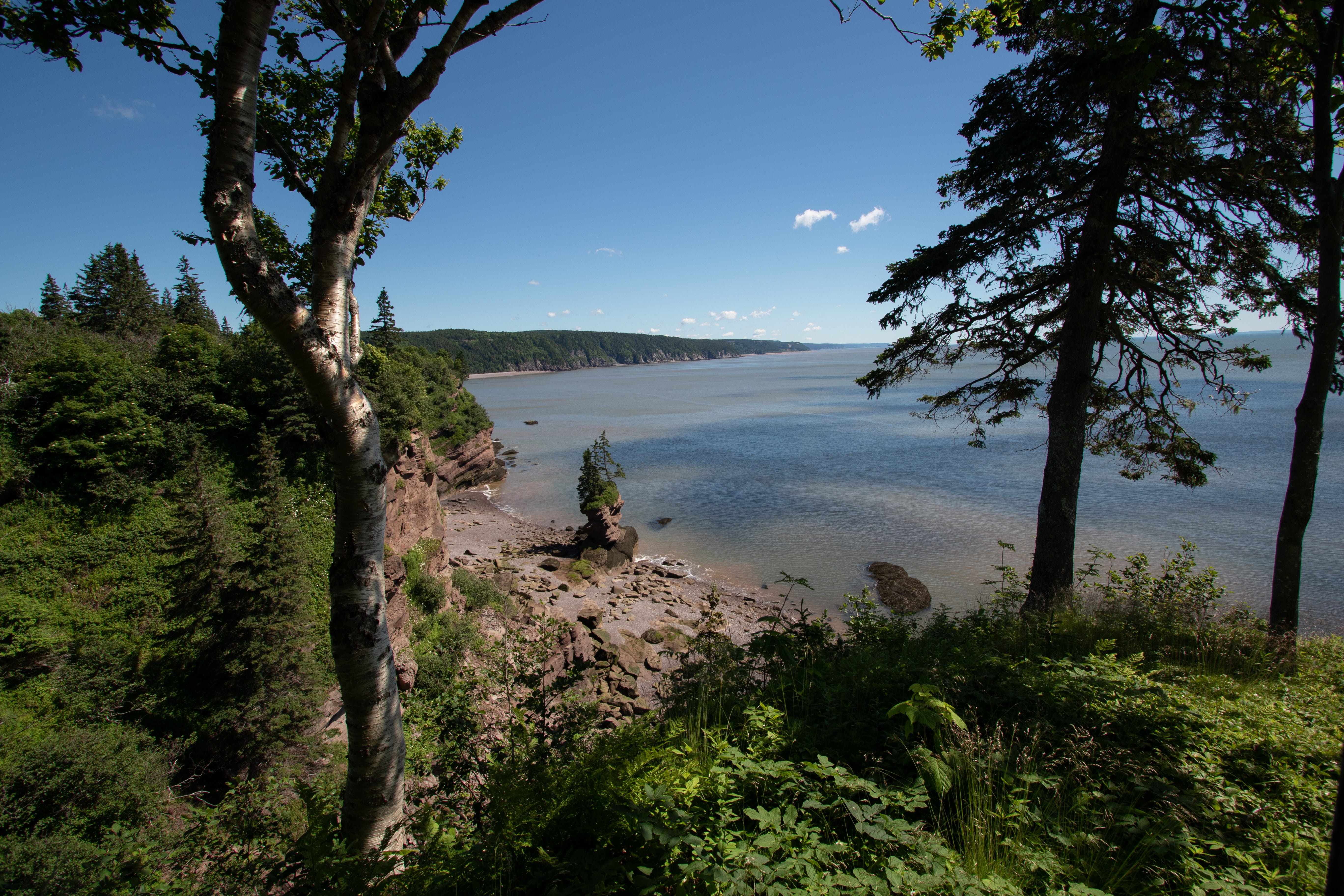 new brunswick, day, nature, outdoors, bay of fundy, sky, environment, mountain, plant, maritimes, water, fundy, scenics - nature, non-urban scene, growth, HD Wallpaper
