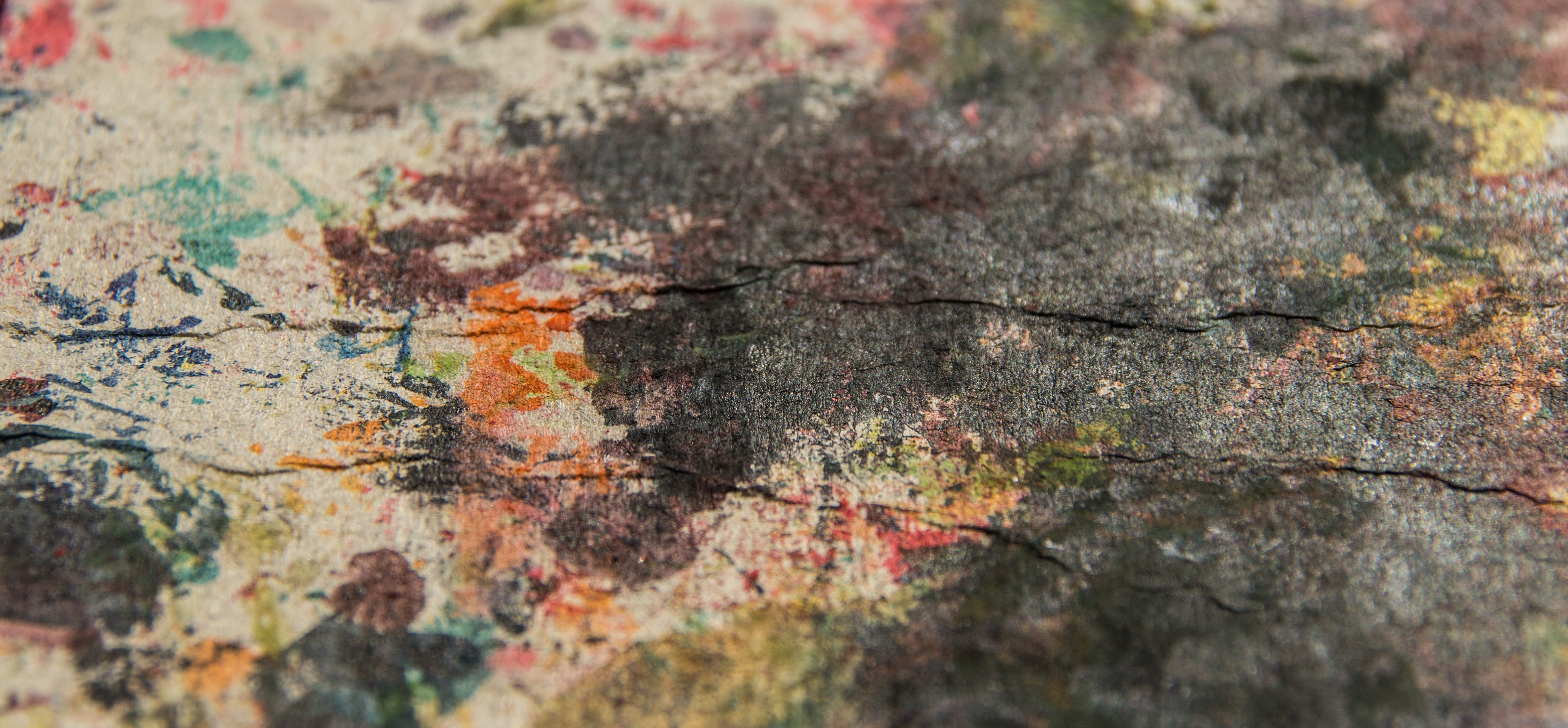 wood - material, paint, colorful, embroidery, bark, color, extreme close-up, untitled, abstract backgrounds, dab, background, rough, lichen, graphically, HD Wallpaper