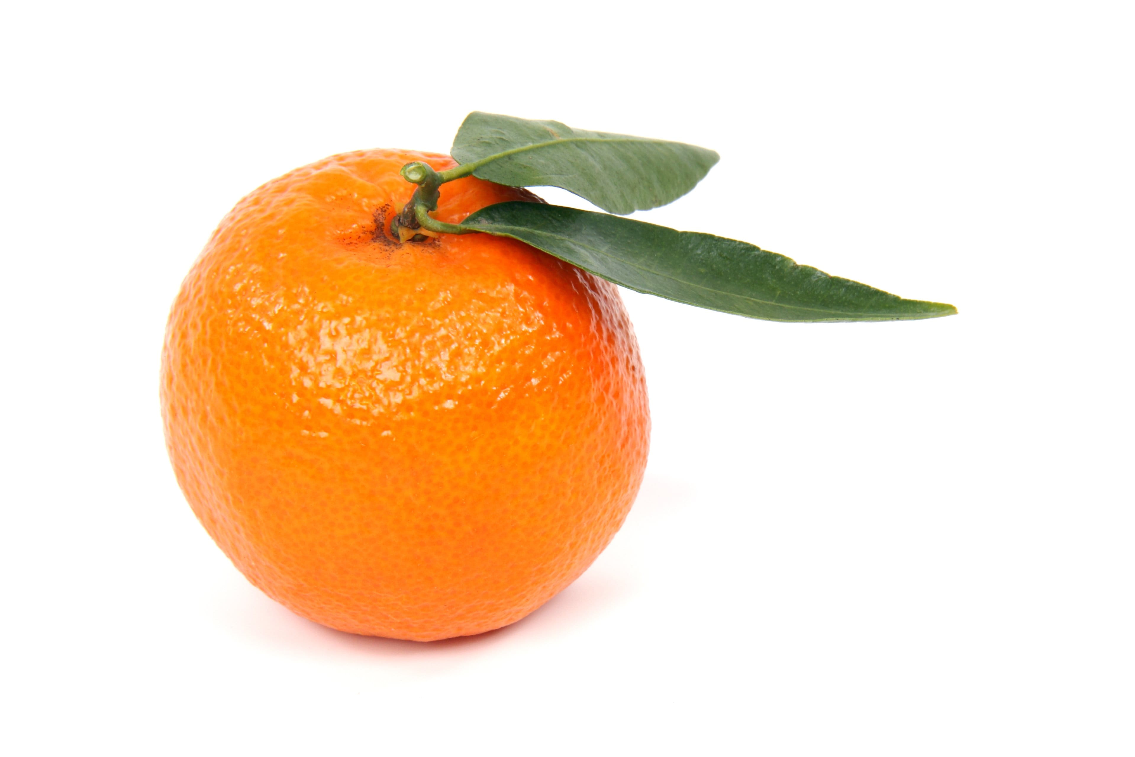 leaf, orange, clementine, orange - fruit, close-up, two, food, opaque, orange color, vitamin, tropical, ripe, screenshot, freshness, nature, no people, HD Wallpaper