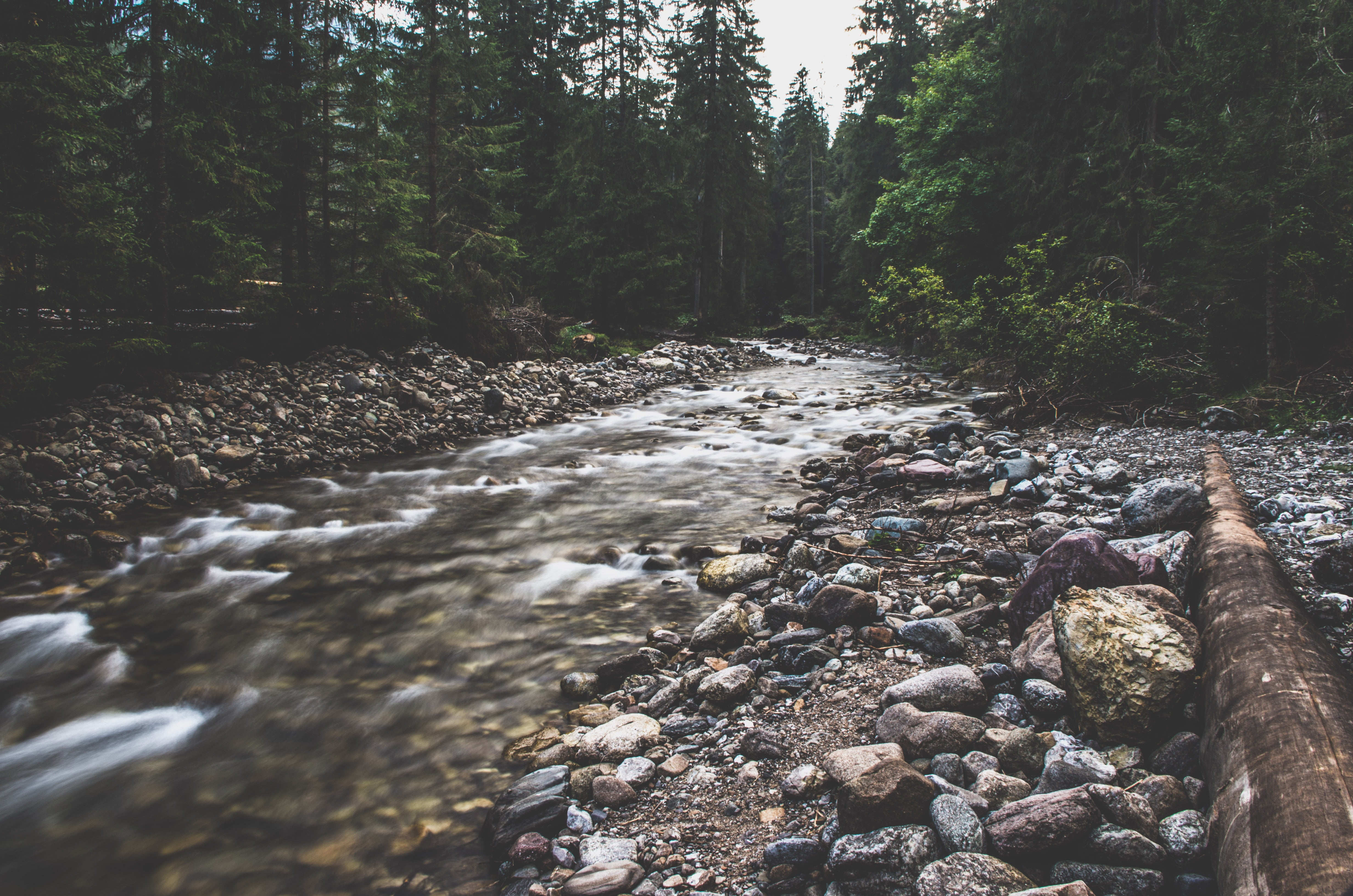 outdoors, woodland, Poland, surface level, pebble, nature, tranquility, forest, rock - object, non-urban scene, flowing, downloading, river, solid, flowing water, HD Wallpaper