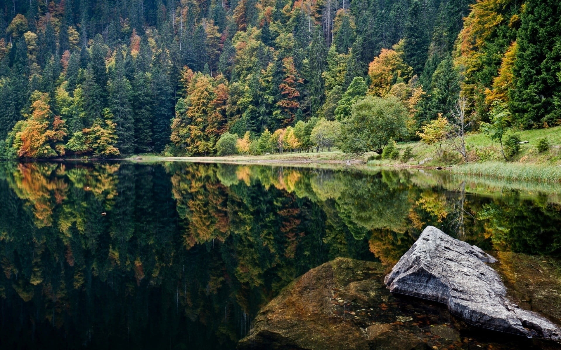 rock, standing water, day, landscape, tranquility, photography, growth, daytime, scenics - nature, no people, plant, beauty in nature, autumn collection, HD Wallpaper