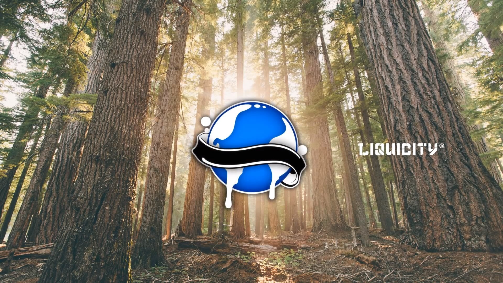 blue, 1080P, day, tree, liquicity, nature, communication, beauty in nature, forest, land, no people, guidance, tree trunk, sign, wood - material, text, HD Wallpaper