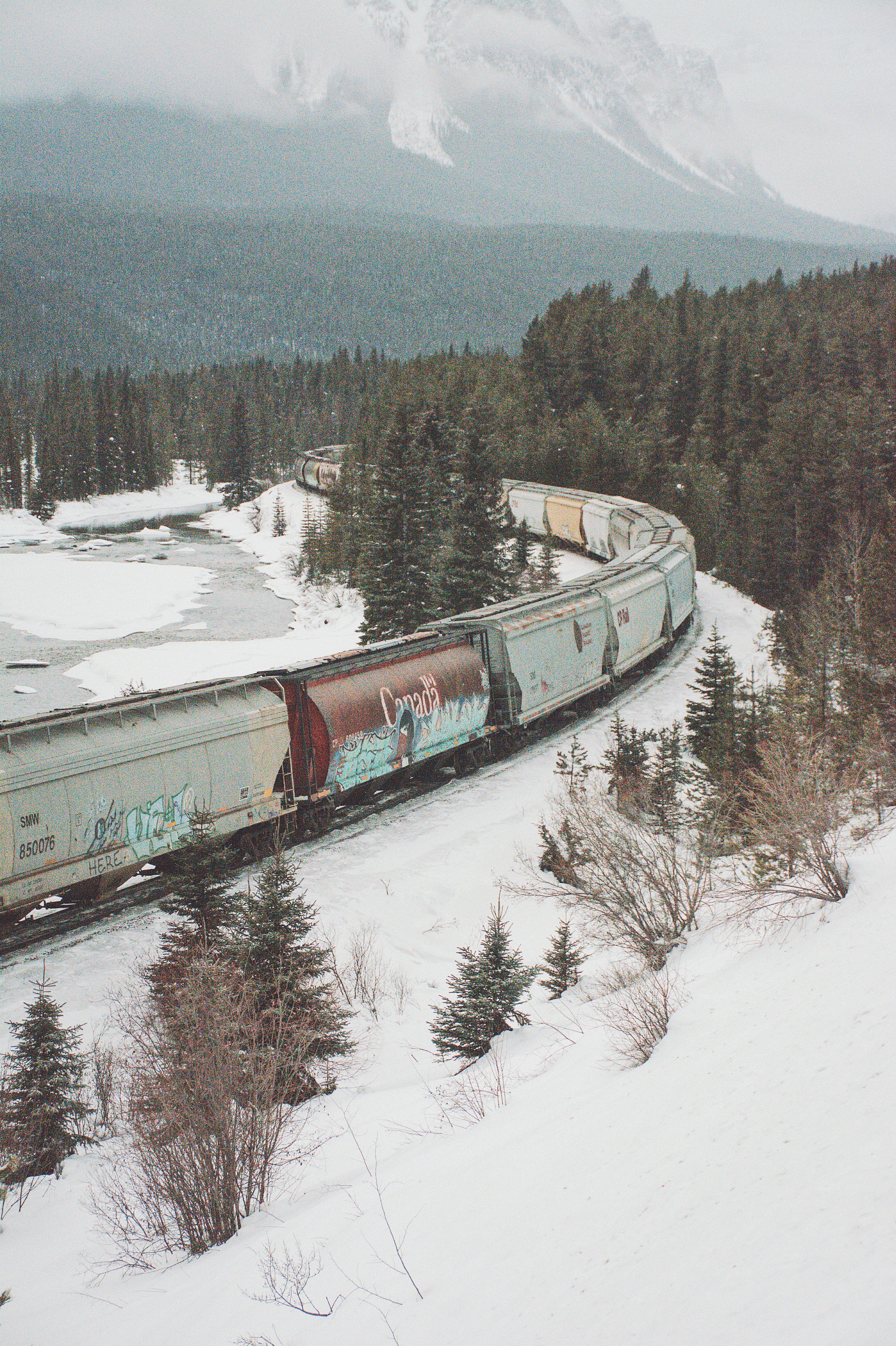 pine, surrounded, field, locomotive, shipping container, covered, rail, land, plant, beauty in nature, train, white, train track, water, cold temperature, Phone HD Wallpaper
