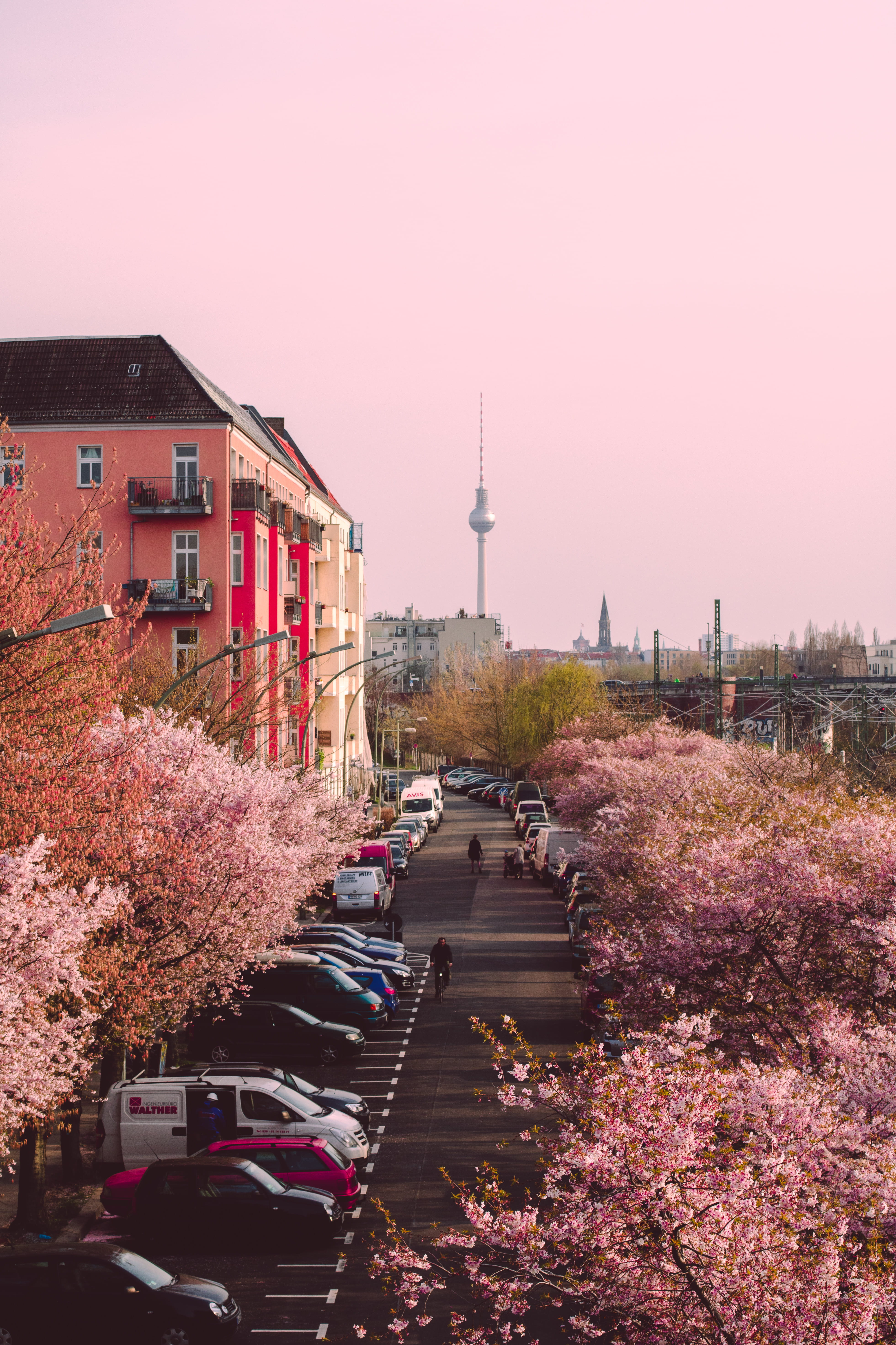nature, pink color, building exterior, photography, car, growth, no people, outdoors, building, town, parking, flower, transportation, sky, motor vehicle, Phone HD Wallpaper