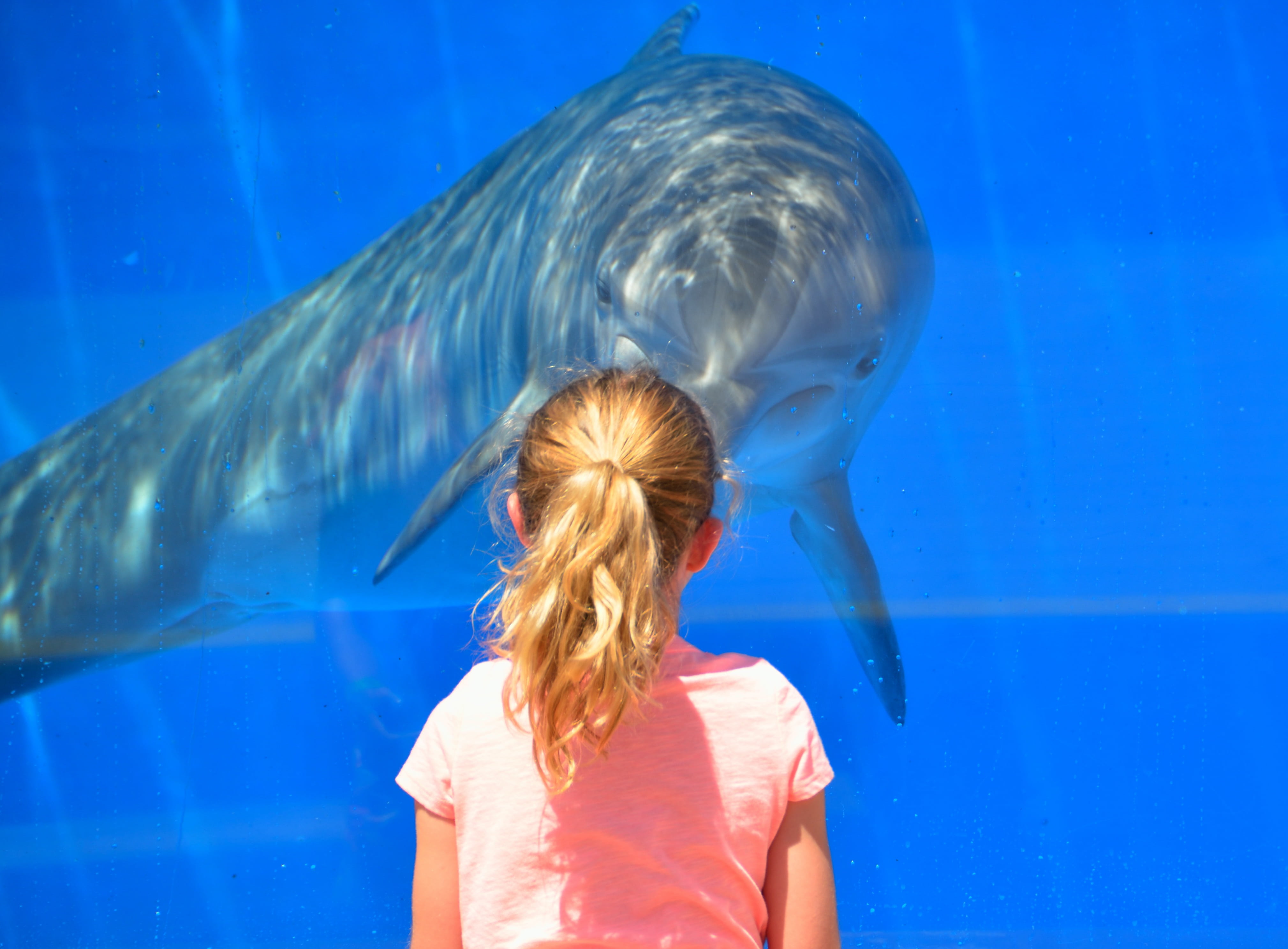glass, front, people, 4K, ocean, girl, sea aquarium, sea, women, hairstyle, children, one person, nature, leisure, waist up, aquarium, playing, selective, HD Wallpaper