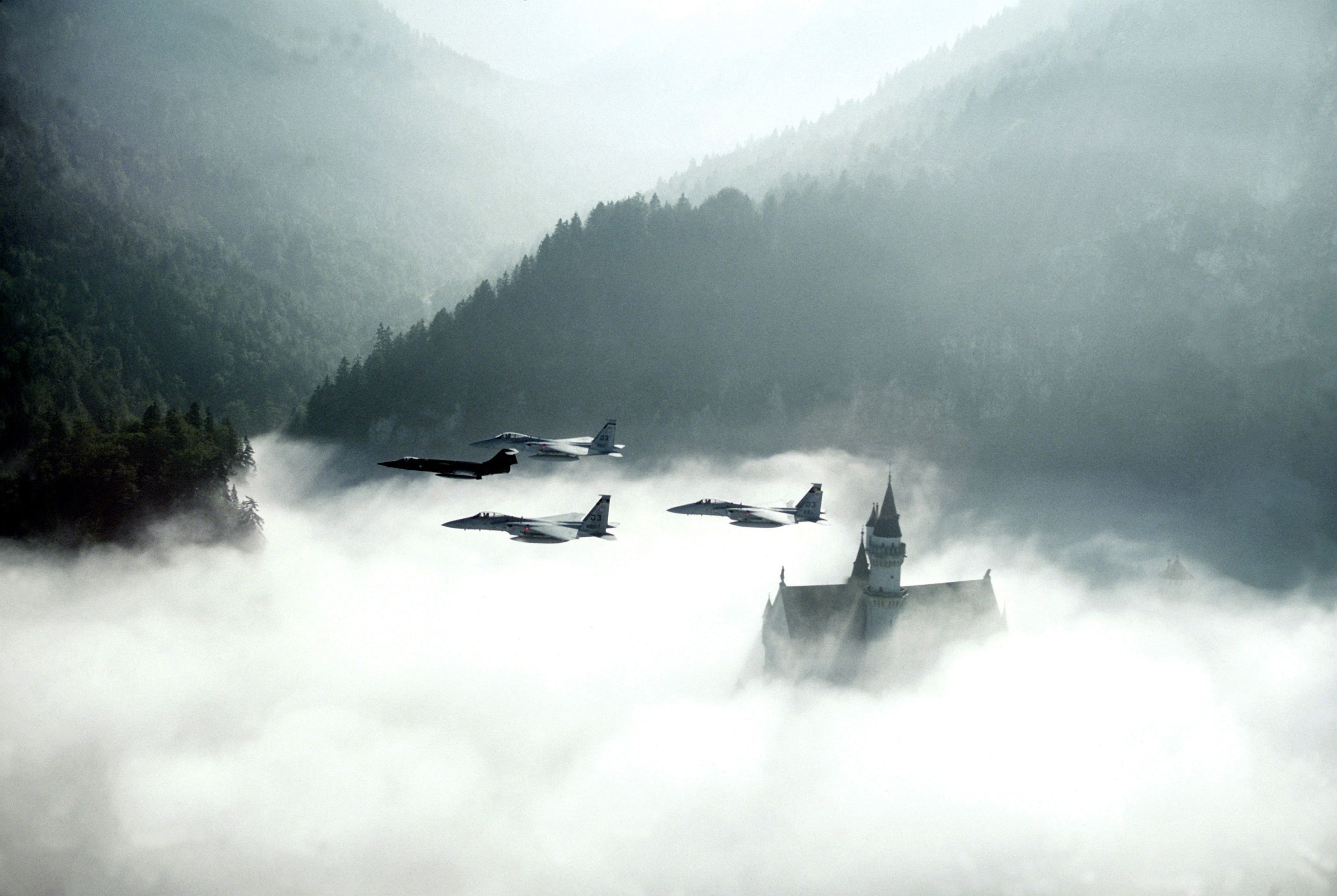 animals in the wild, airplane, landscape, bird, Jet Fighter, mountain, day, Neuschwanstein Castle, tranquil scene, vertebrate, F15 Eagle, beauty in nature, HD Wallpaper