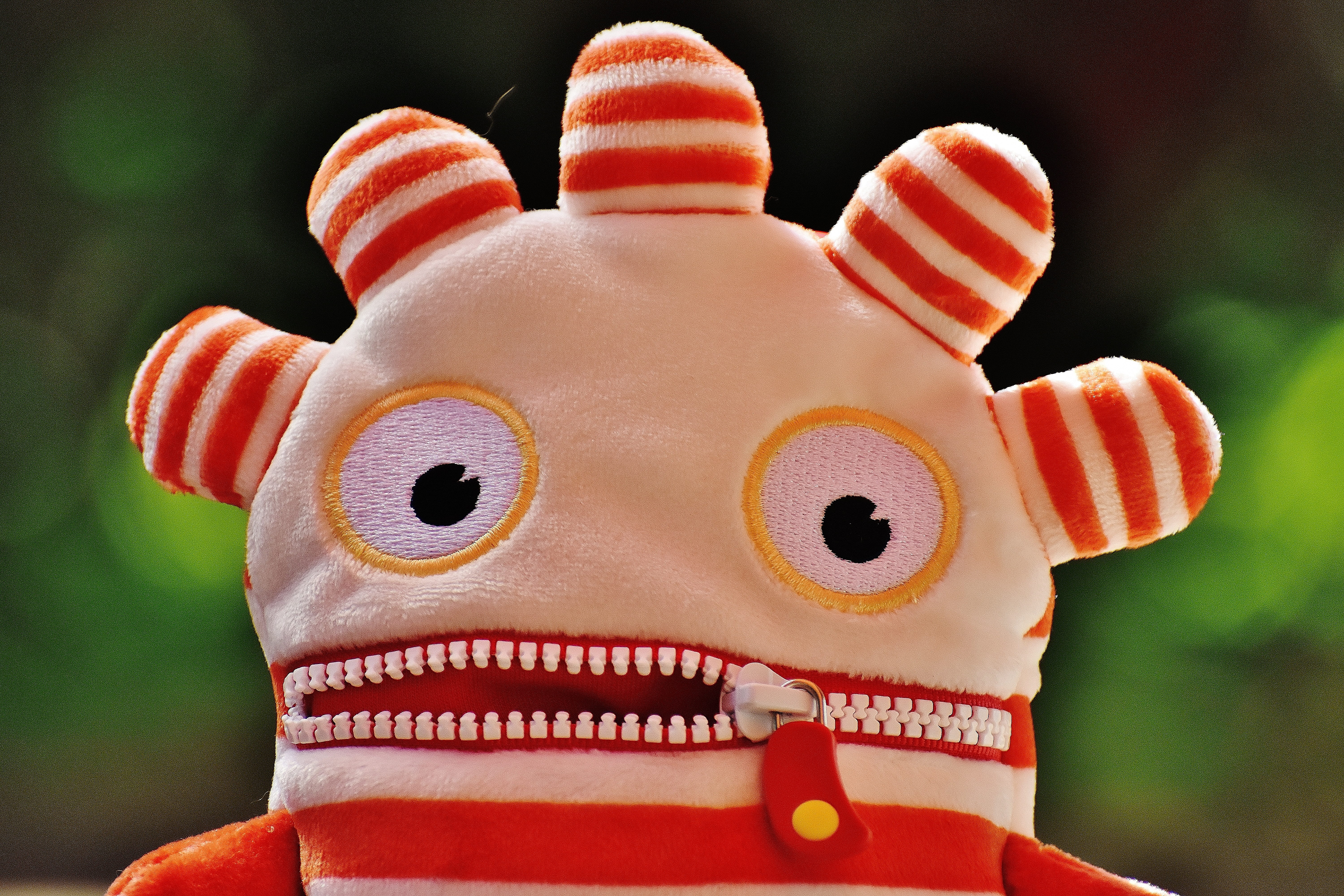 worry about hog, representation, cute, focus on foreground, close-up, toys, children, craft, portrait, ensure püppchen, one person, creativity, fun, christmas, HD Wallpaper