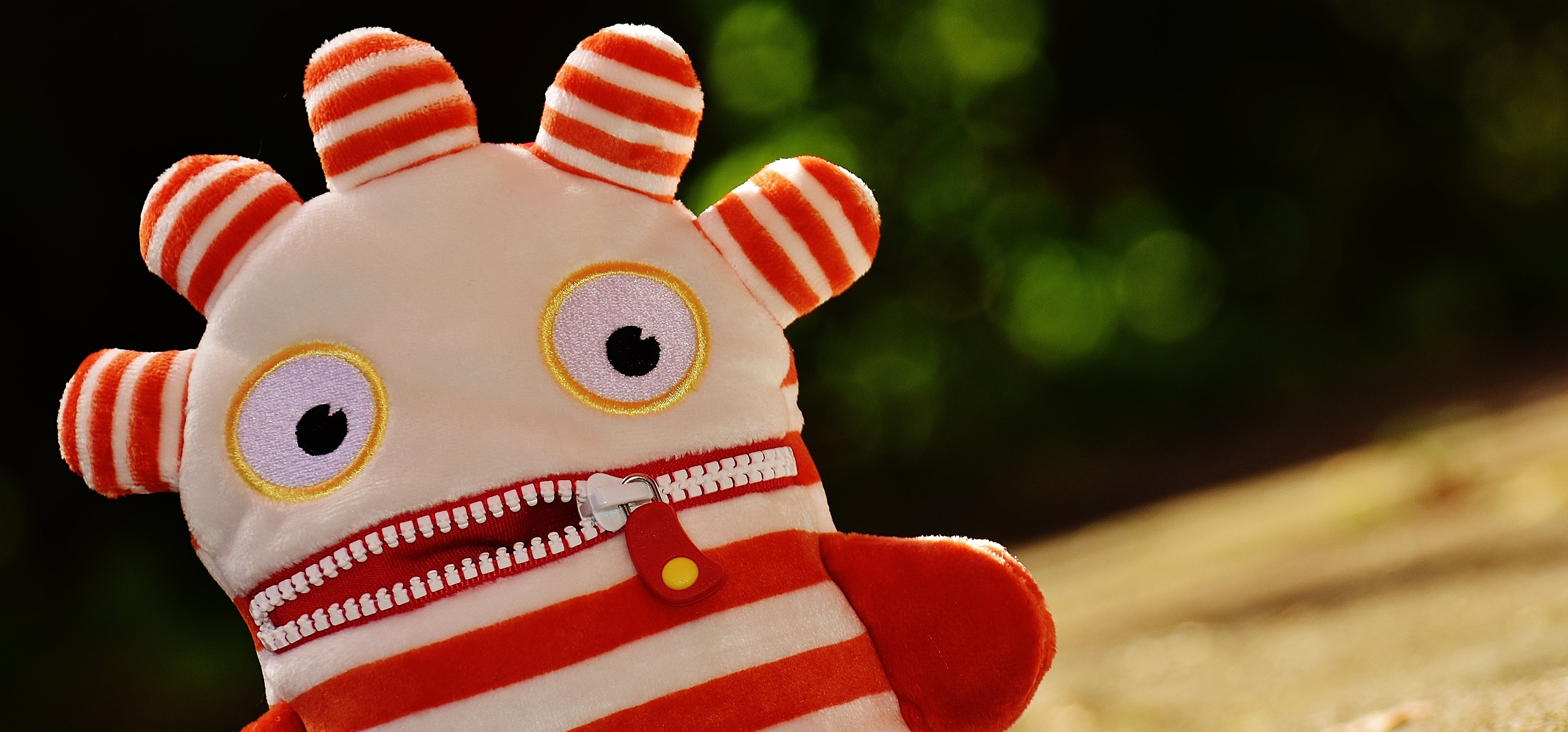 one person, white color, celebration, toy, ensure püppchen, focus on foreground, plush, funny, worry about hog, striped, cute, mammal, representation, close-up, HD Wallpaper
