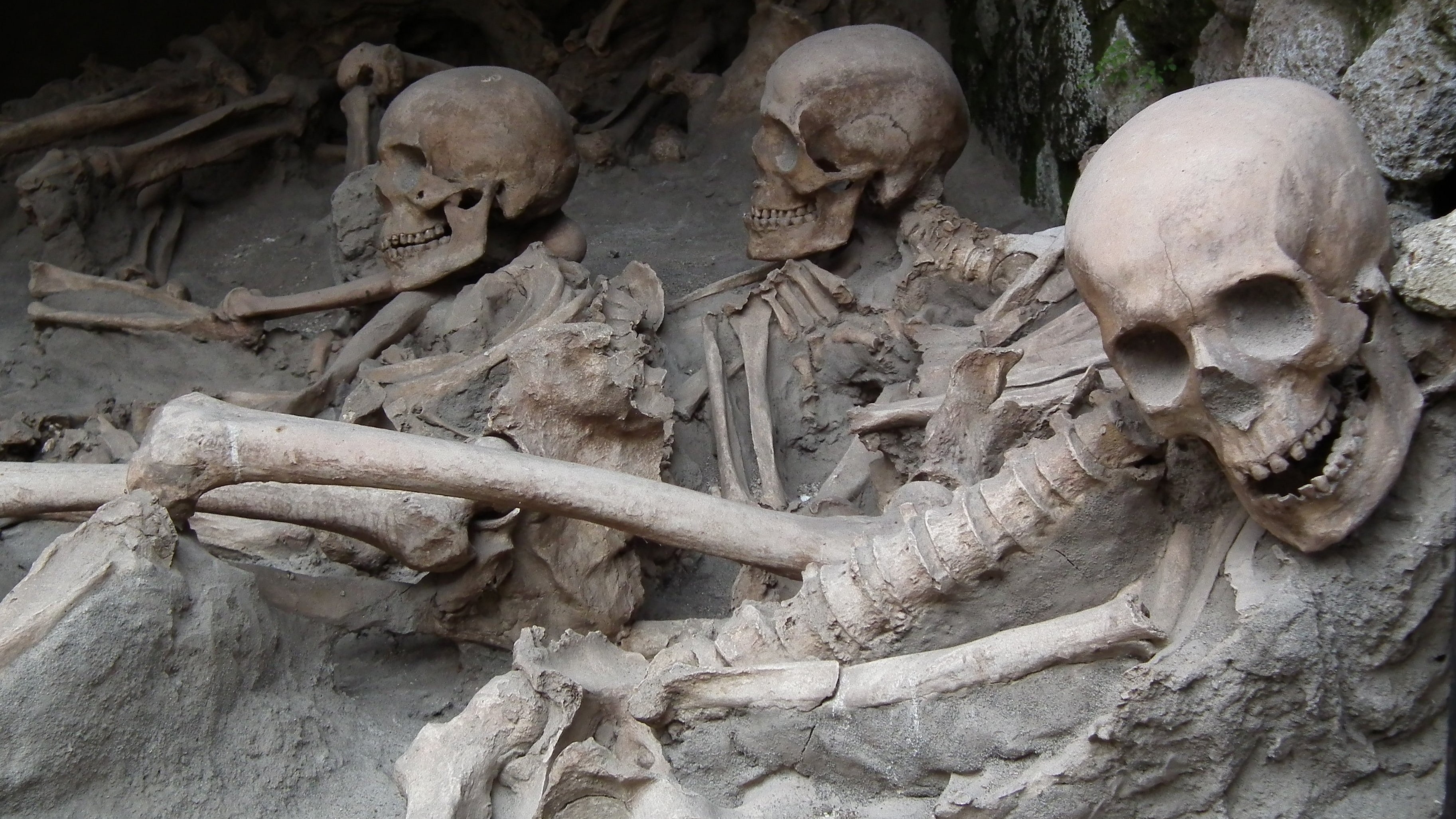 ancient, body part, outdoors, skull, art and craft, archaeology, human representation, sculpture, 2K, architecture, bone, the past, representation, human skull, HD Wallpaper
